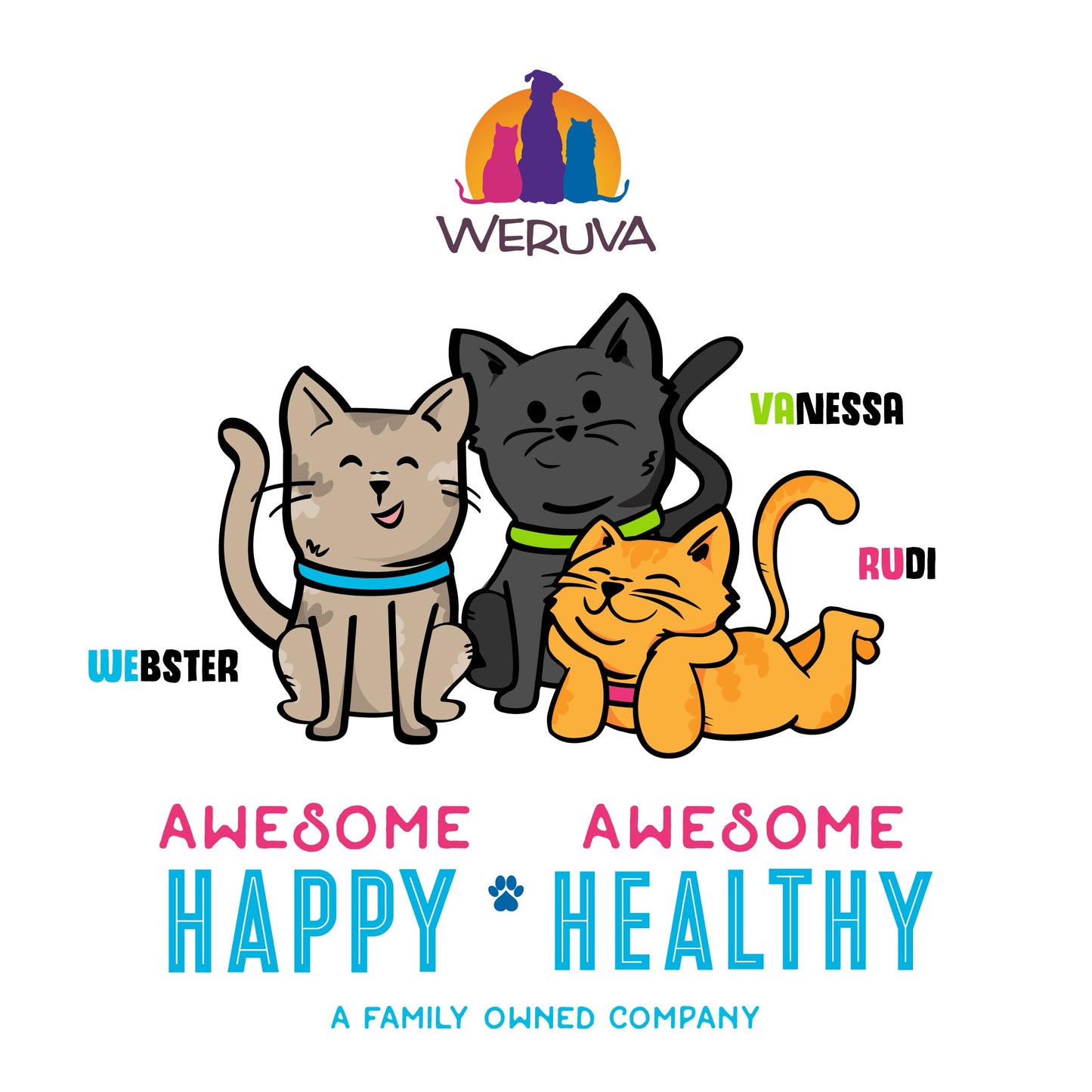 B.F.F. OMG - Best Feline Friend Oh My Gravy!, Best Day Eva! with Beef & Salmon in Gravy Cat Food by Weruva, 2.8oz Can (Pack of 12)