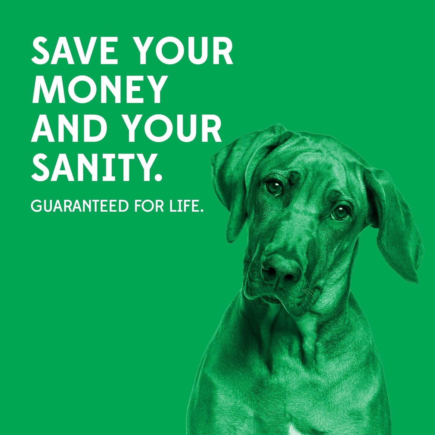 Goughnuts Original Medium Dog Chew Toy Ring for Aggressive Chewers from 30-70 Pounds in Green. Durable Rubber Dog Chew Toy for Medium Breeds and Power Chewers