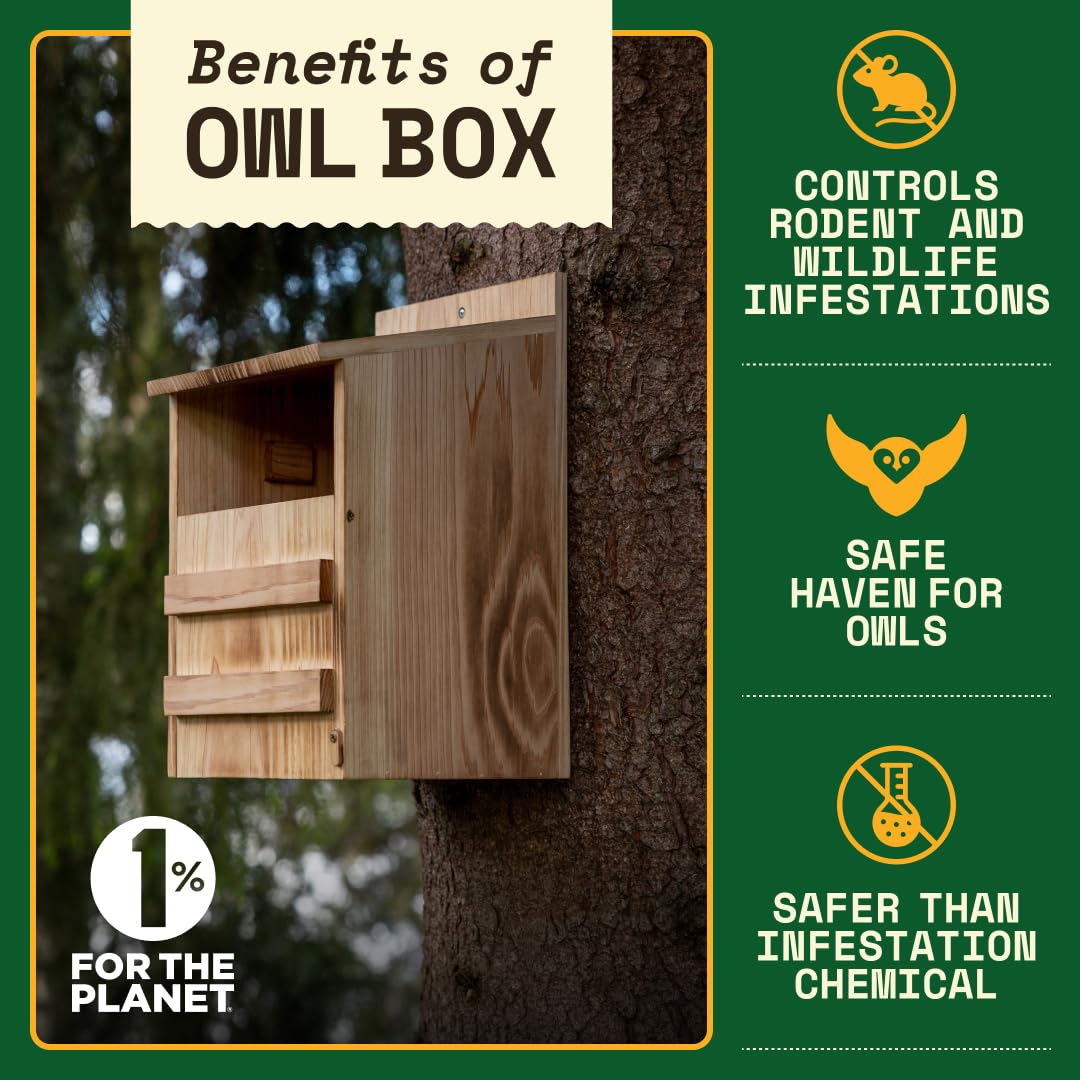 WildYard Owl Nesting Box - Cedar Wood - Preassembled Barn Owl Nesting Box with Screws - Durable Cedar Construction Birdhouses Outdoors - Large Front Door Easy Cleaning Wooden Birdhouse