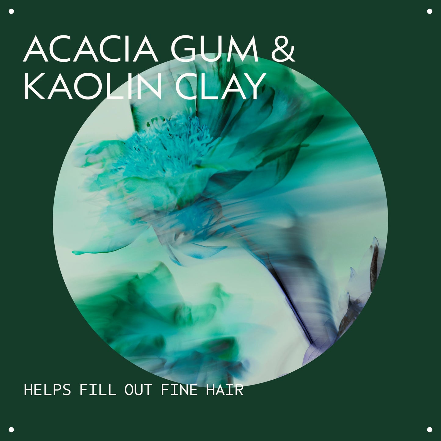 Aveda Pure Abundance Volumizing Shampoo | Adds Volume to Fine Hair | with Kaolin Clay, 1000ml