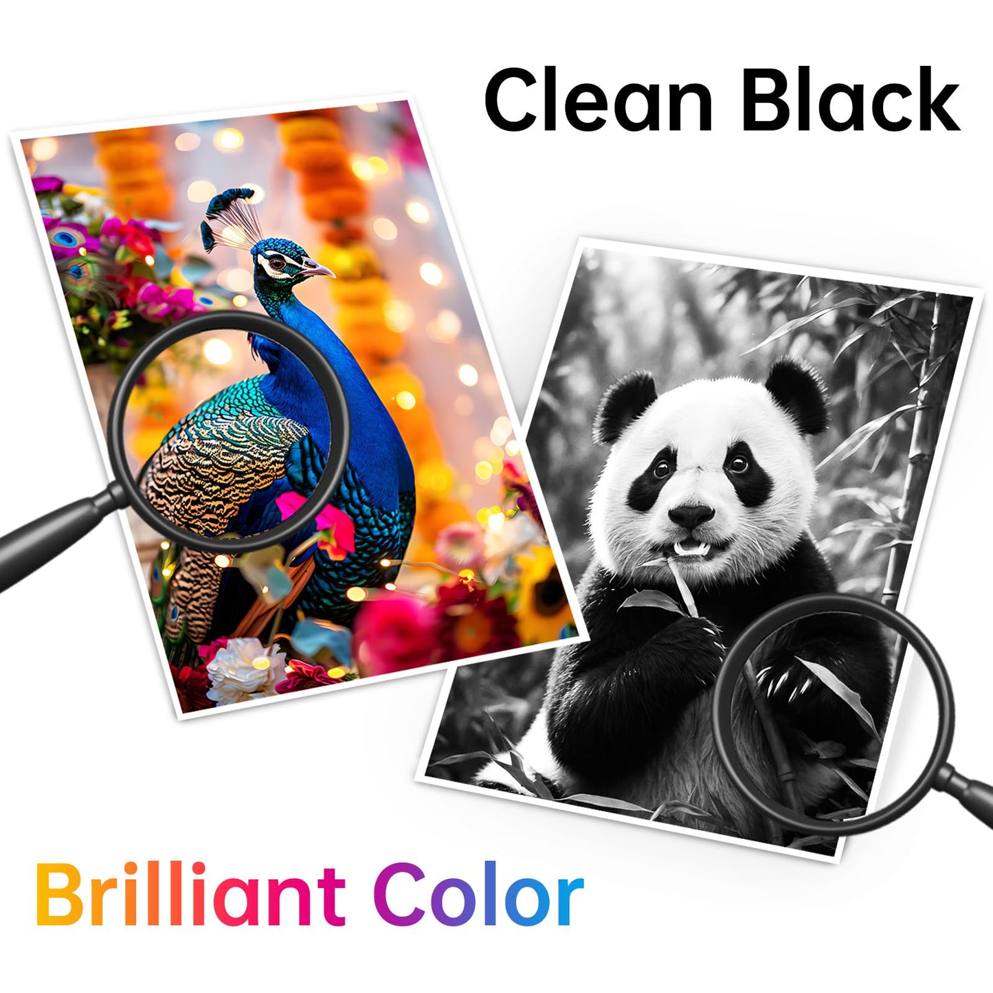 245XL 246XL Ink Cartridge Combo Pack Replacement for Canon Ink 245 246 243 244 Work for Pixma TR4520 TR4527 MG2522 MG2520 MX490 MX492 TS202 TS302 TS3320 MG2920 Printer (Black, Color 2-Pack)