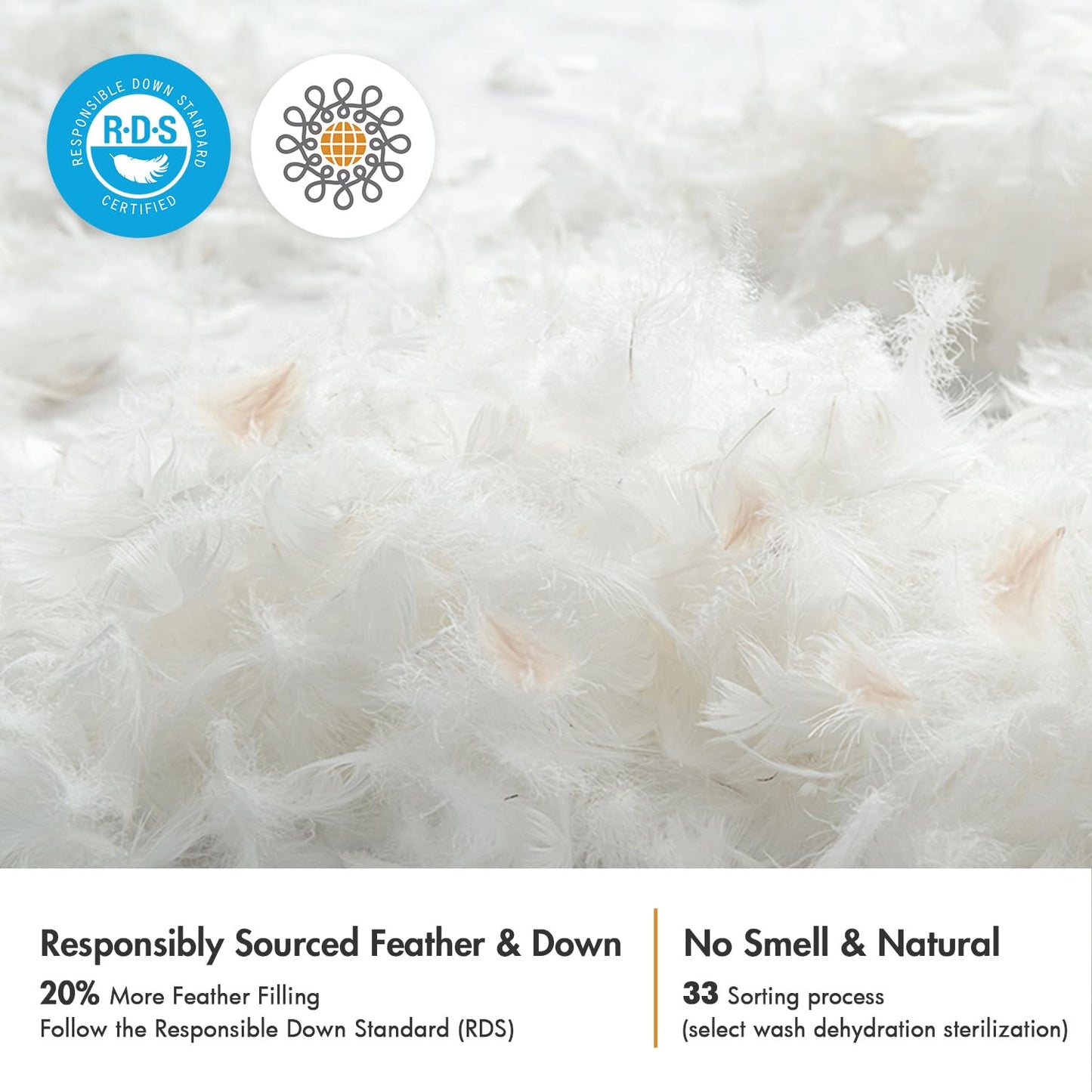 MIULEE 20x20 Pillow Inserts, Pack of 2 Feather Throw Pillow Inserts, Decorative Fluffy Cotton Fabric for Living Room Sofa Bed