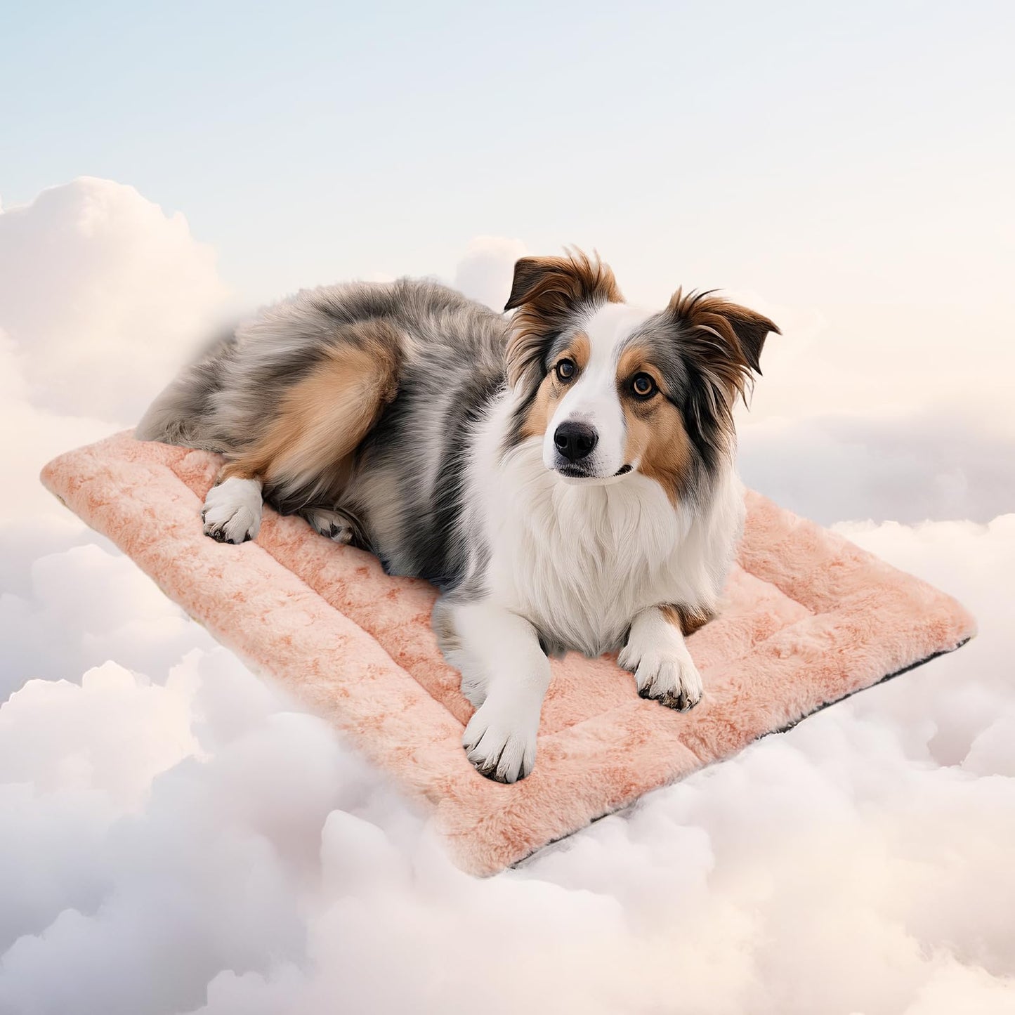 Mora Pets Dog Crate Bed Plush Pet Bed Fit 36" Crate Anti Slip Dog Mat Washable Kennel Pad for Small Medium Large Dog and Puppy 35 x 22 Inch Pink