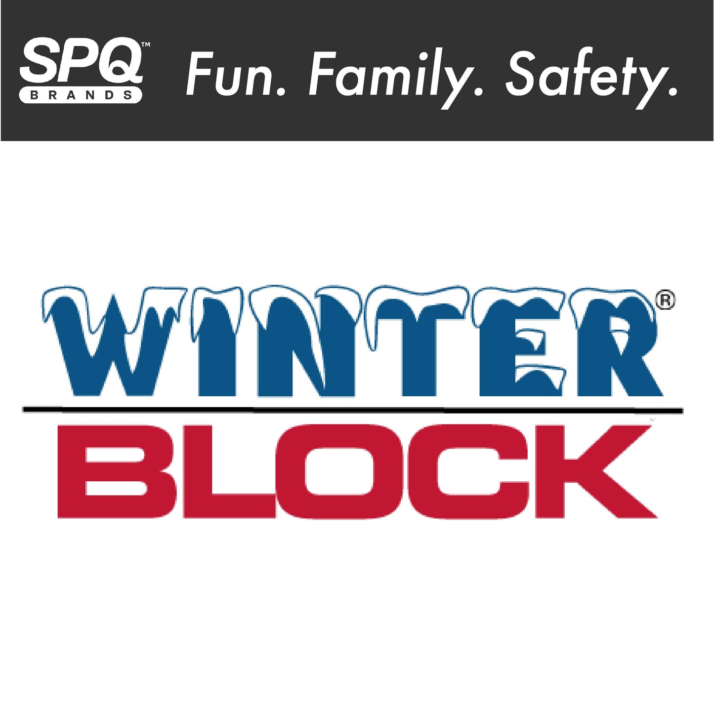 Winter Block WC15R Swimming Pool Winter Cover with Winch and Cable, Small Blue/Black