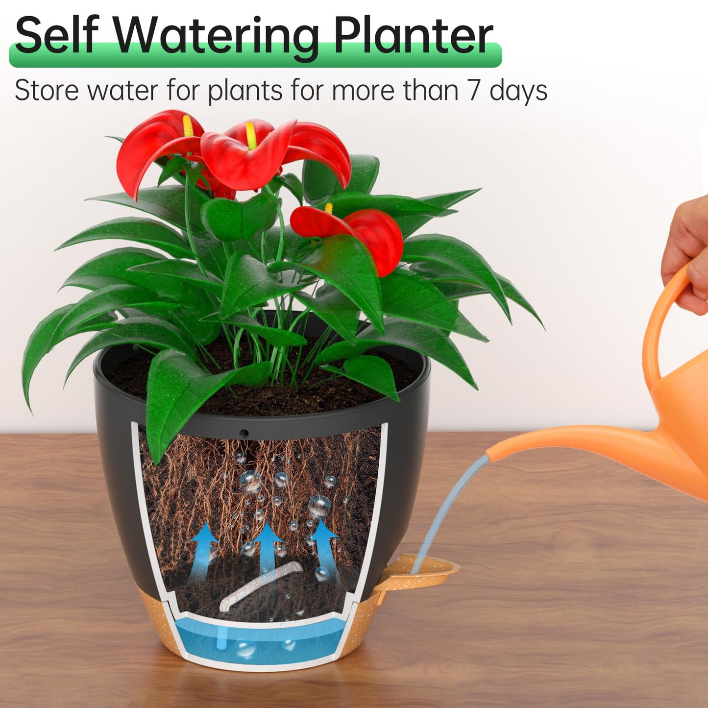 ZMTECH 8 Inch Hanging Planters for Indoor Outdoor Plants 2 Pack Self Watering Hanging Plant Pots with Drainage Holes and Removable Saucer Plastic Flower Hanging Pots with Watering Lip (Black)