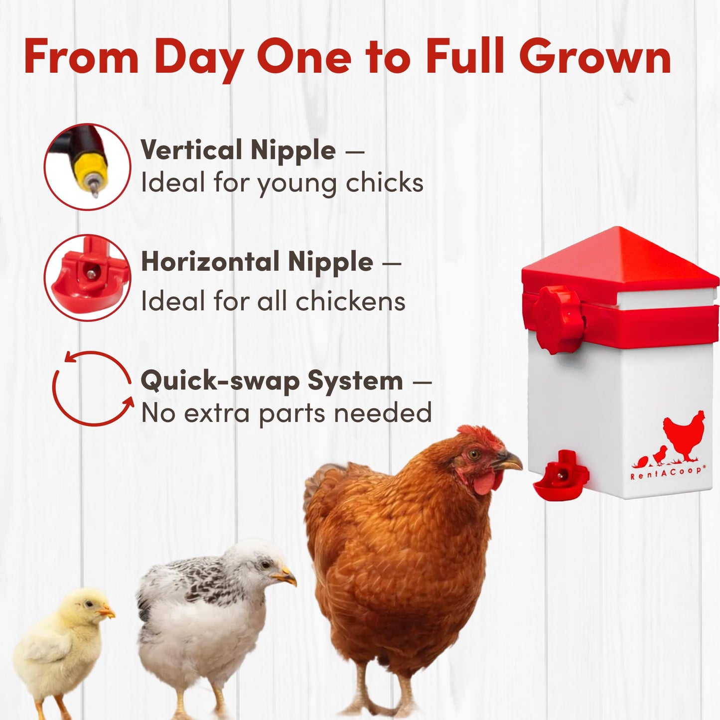 RentACoop 64oz(2L) Drinker Plus 2 Versatile Nipples - Suitable for Chicks, Quail, Pigeons, Doves, and Other Smaller Birds
