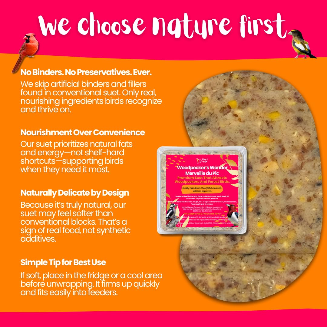 Chirp & Maple, Woodpecker’s Wonder, Suet for Wild Birds, Wild Bird Food for Woodpeckers (18-Pack), 5.4KG