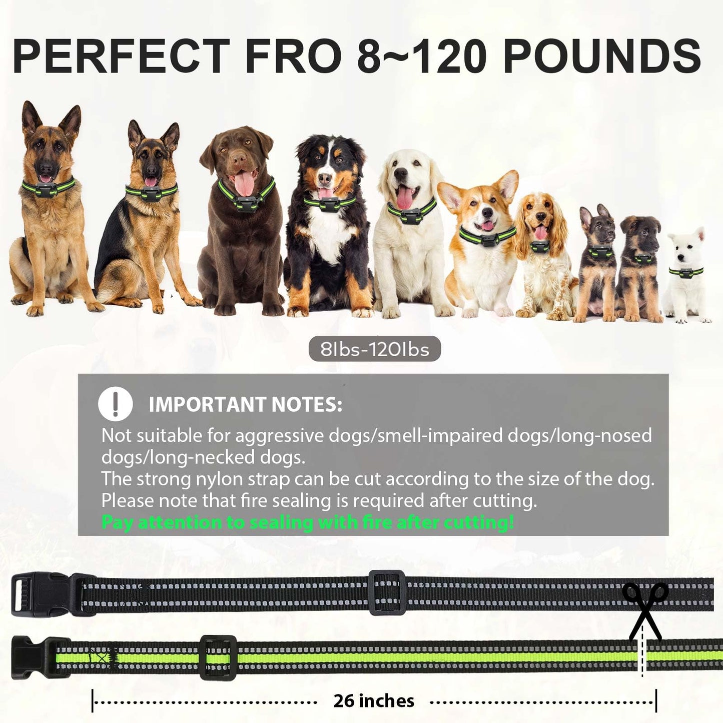Citronella Bark Collar for Dogs [No Refill] Level 2 Sensitivity & Spray Adjustable, Rechargeable Waterproof Spray Dog Training Collar, Dog Collar for L/M/S Dogs