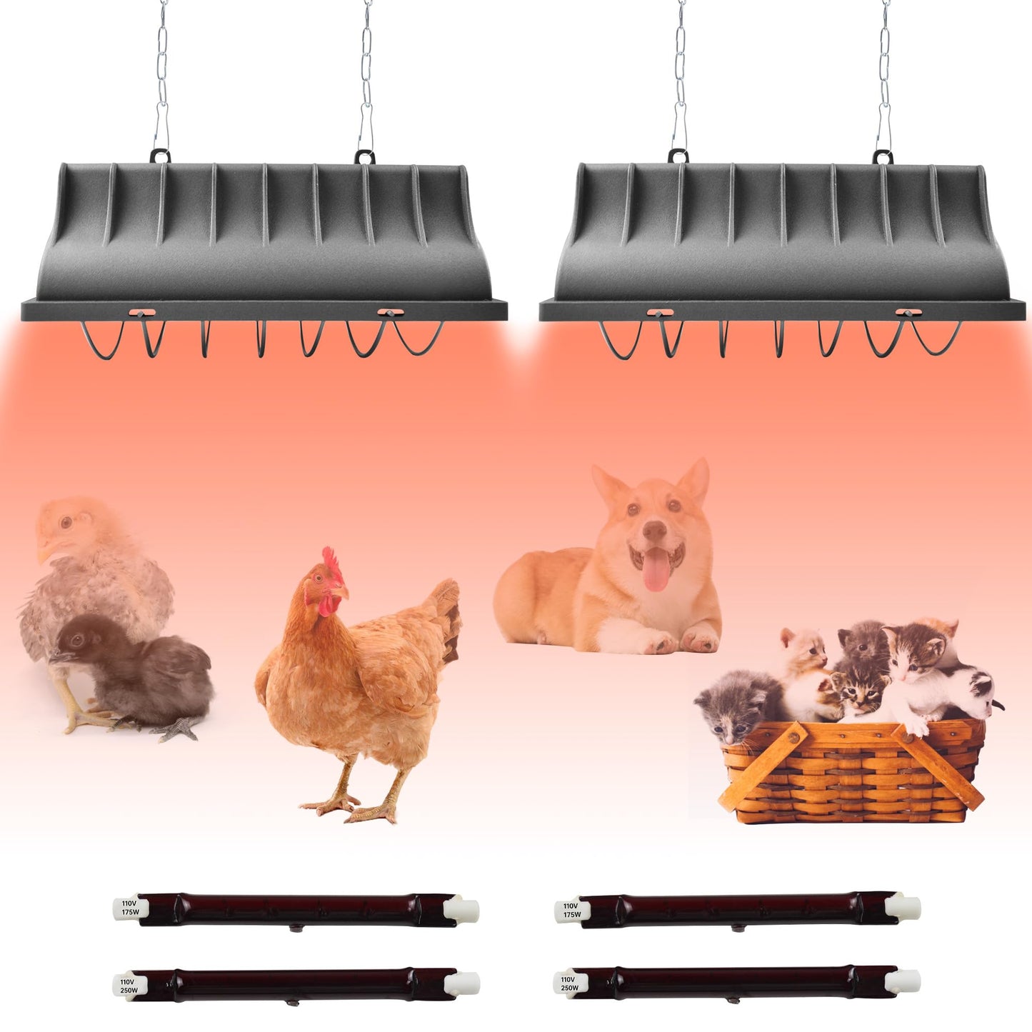 JUSONEY Coop Heater for Chicks, Brooder With 2pcs Heat Lamp (250W and 175W), Adjustable Temp & Height Brooder Box Supplies for Chicken Livestock Dogs Sheep Pets