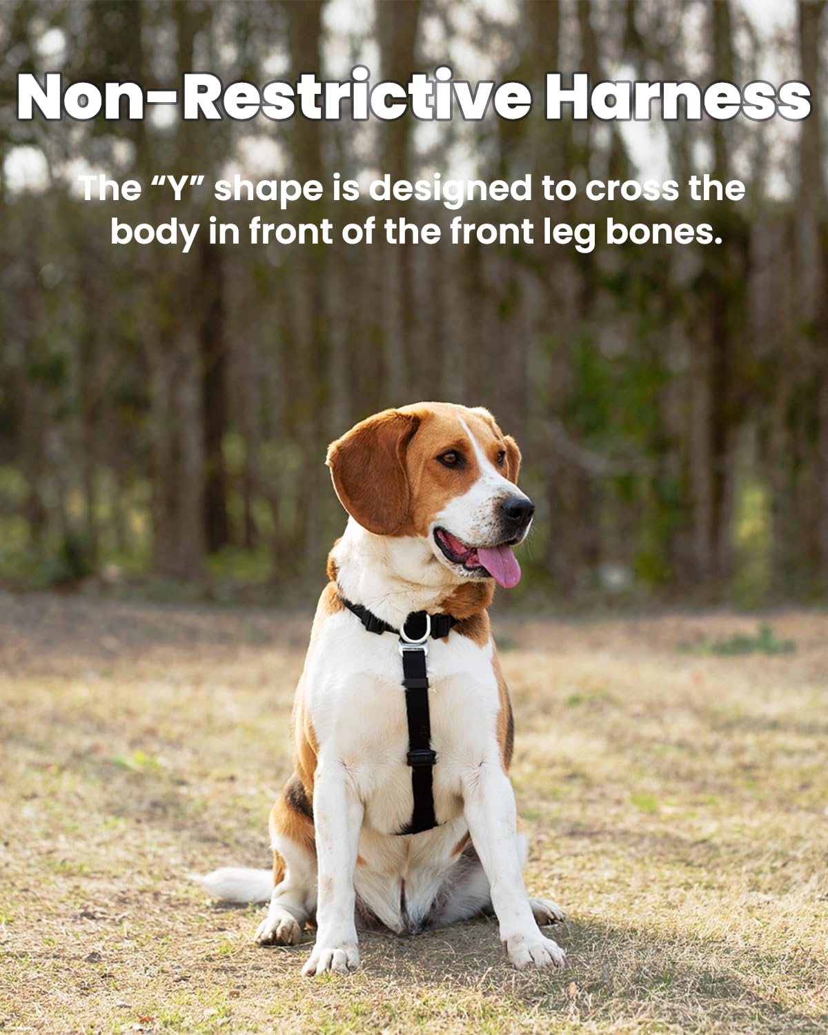 LufeLux Non-Restrictive Dog Harness, Easy Walk Freedom No Pull Harness, Keep Balance, Neck-Buckle, Six Points Adjustment, 2 Leash Clips for Back and Front Clip (Black/Grey, X-Large)