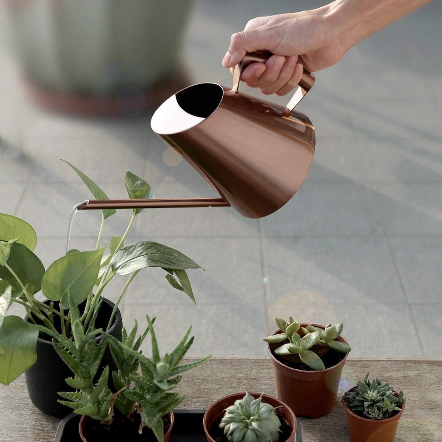 Watering Can Indoor Plants, 50 Oz/1500 Ml Decorative Long Spout Watering Cans for Indoor Plants Stainless Steel Watering Pot for Succulent Bonsai Garden Flower