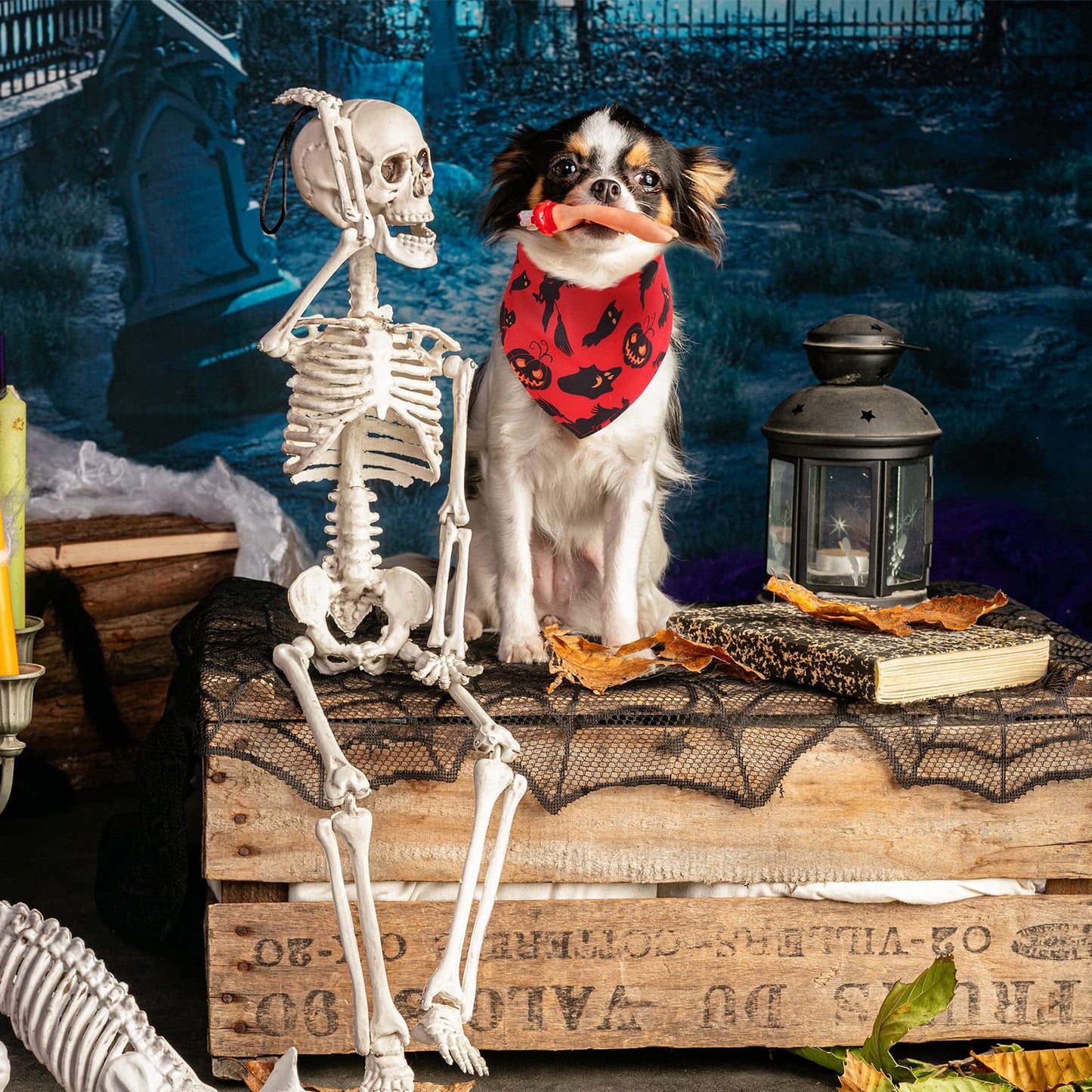 Xuniea 50 Pack Halloween Dog Bandanas Large Dog Bib Scarf Pet Bandana Handkerchief Accessories for Medium Small Puppy Outfit Halloween Festival Birthday Party Supply(Null)