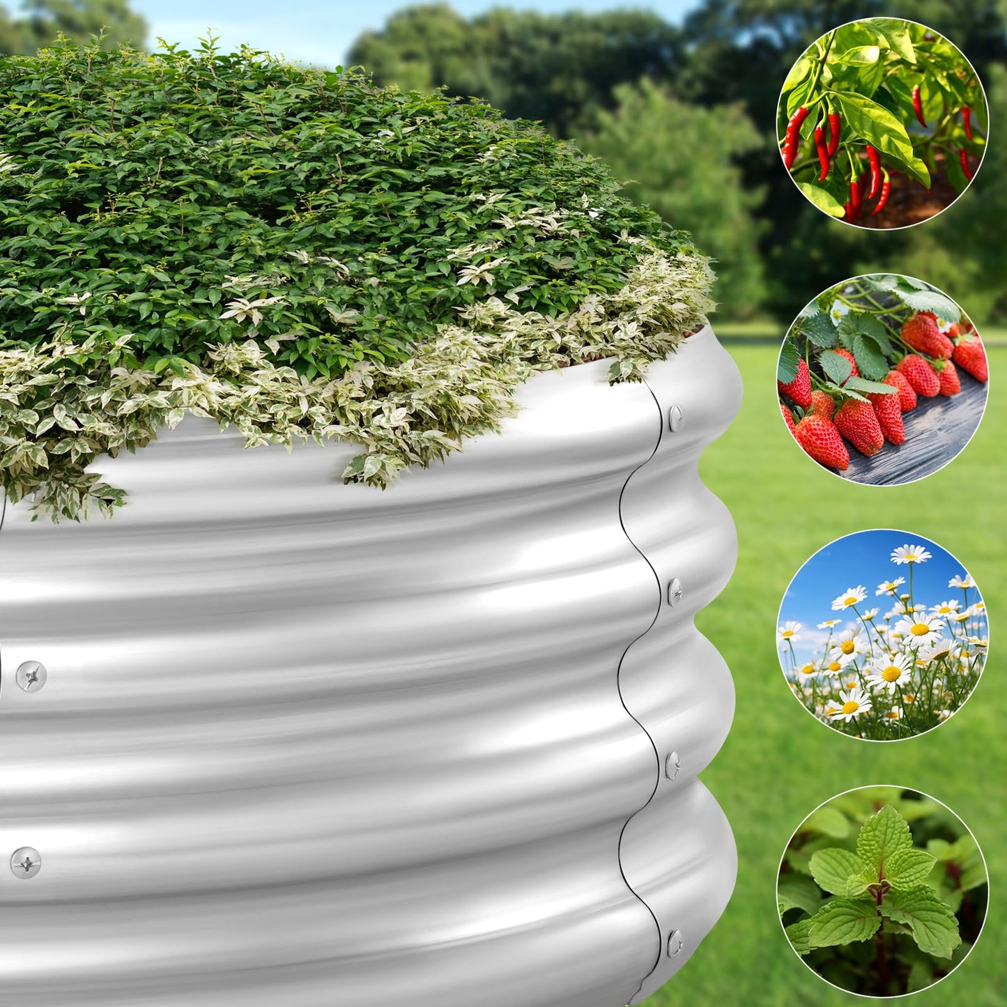 Galvanized Raised Garden Bed, 5x5x1ft Round Garden Bed Outdoor, Metal Planter Boxes for for Vegetables, Flower, Herb