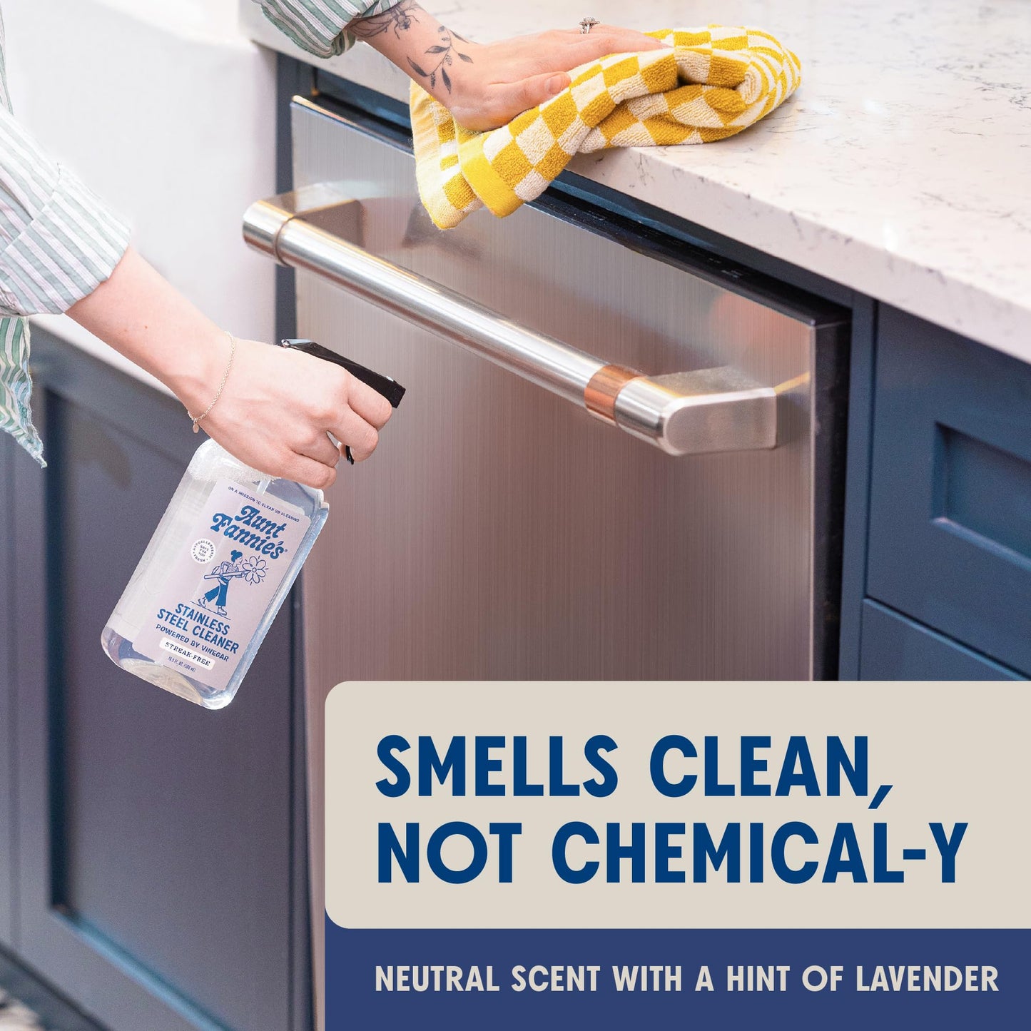 Aunt Fannie's Stainless Steel Spray Cleaner, Powered by Vinegar, Fingerprint and Residue Remover for Refrigerator, Dishwasher, Oven, Grill, Sink, Stovetop, and Other Appliances, Pack of 3