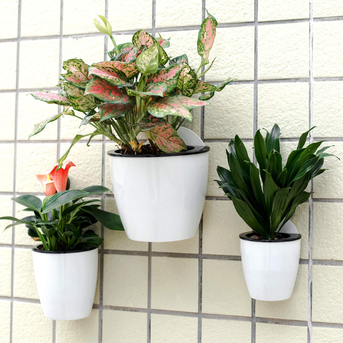 6 Pack Hanging Planter Pots Self Watering Vertical Garden Wall Mount Window Hang Round Plastic Container Indoor Outdoor for Plants Flowers Succulent Kitchen Living Herbs Holder Decor Decoration White