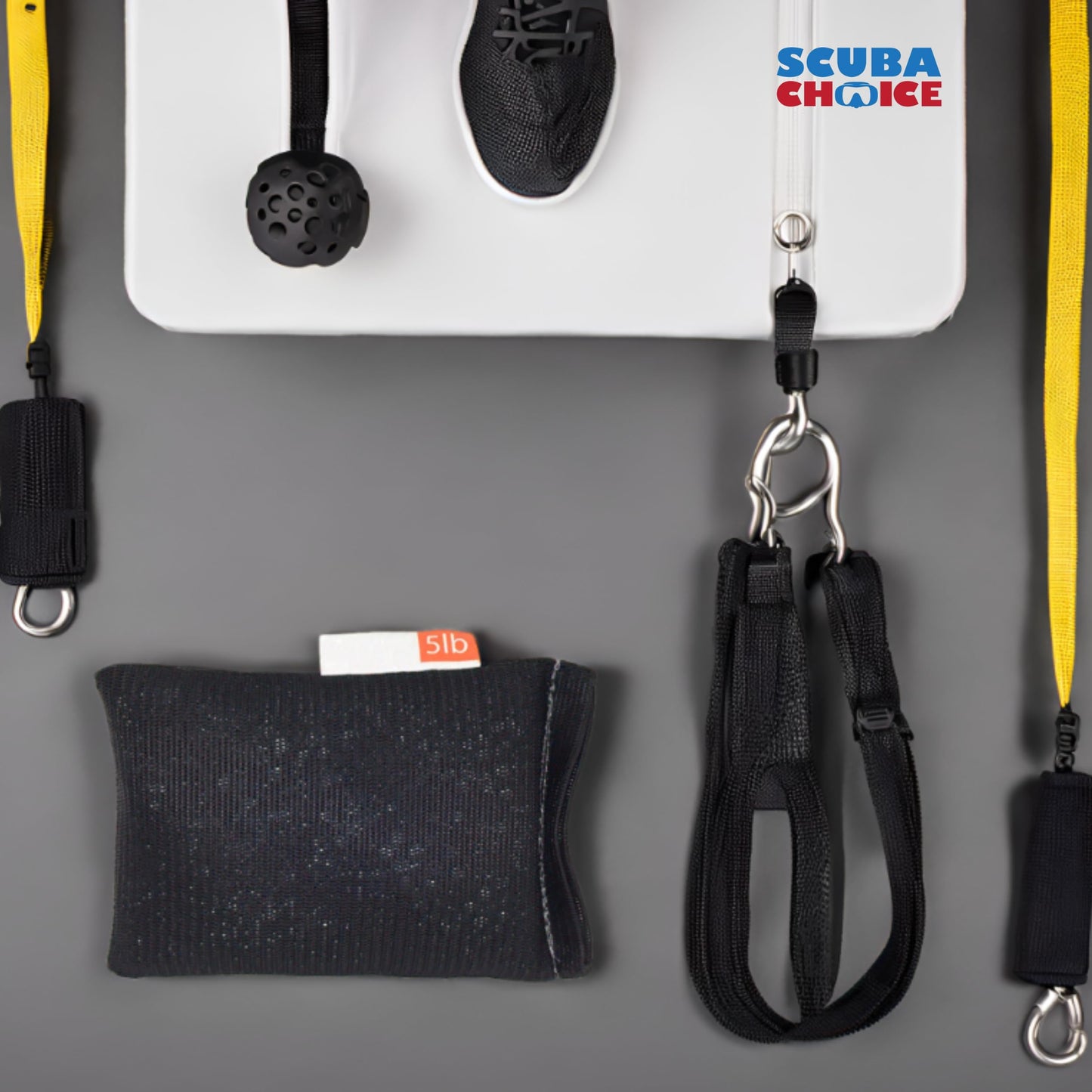 Scuba Choice Diving Soft Mesh Lead Shot Weight, 5lb (Made in USA), Black (SCLWS-05)