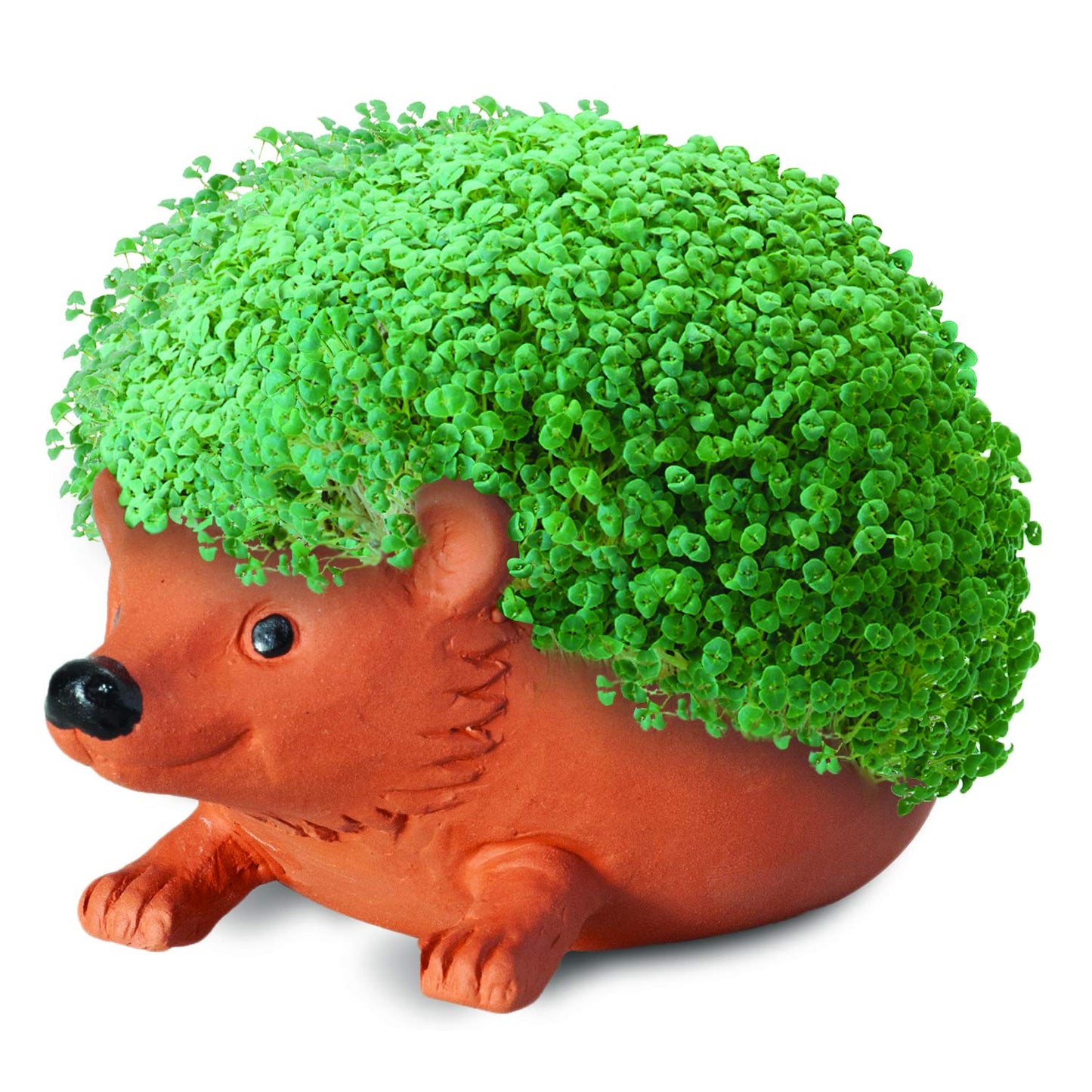 Chia CP438-01 Pet Hedgehog Decorative Pottery Planter, Easy to Do and Fun to Grow