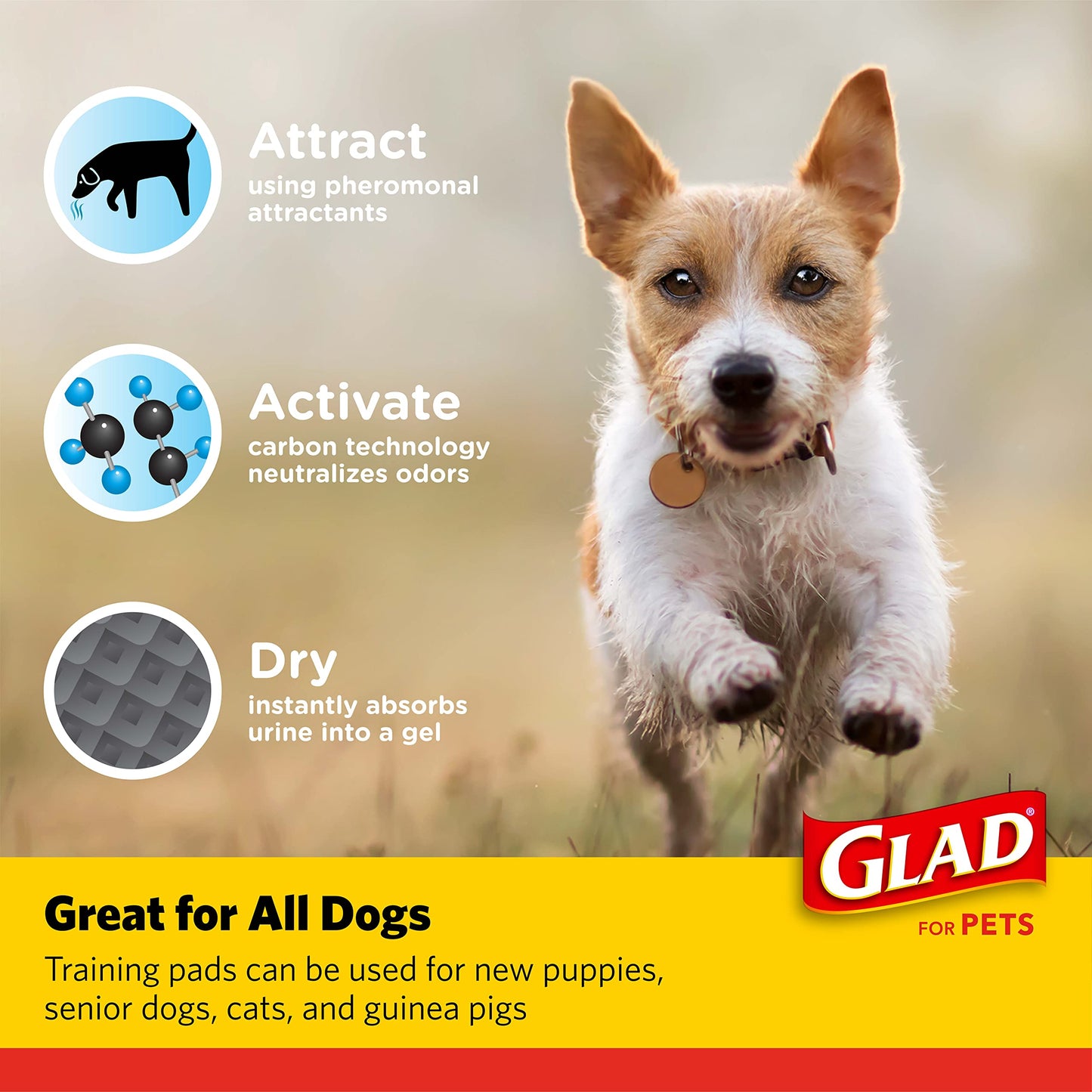 Glad for Pets Black Charcoal Puppy Pads | Puppy Potty Training Pads That Absorb & NEUTRALIZE Urine Instantly | New & Improved Quality, 150 Count, size: 150 count