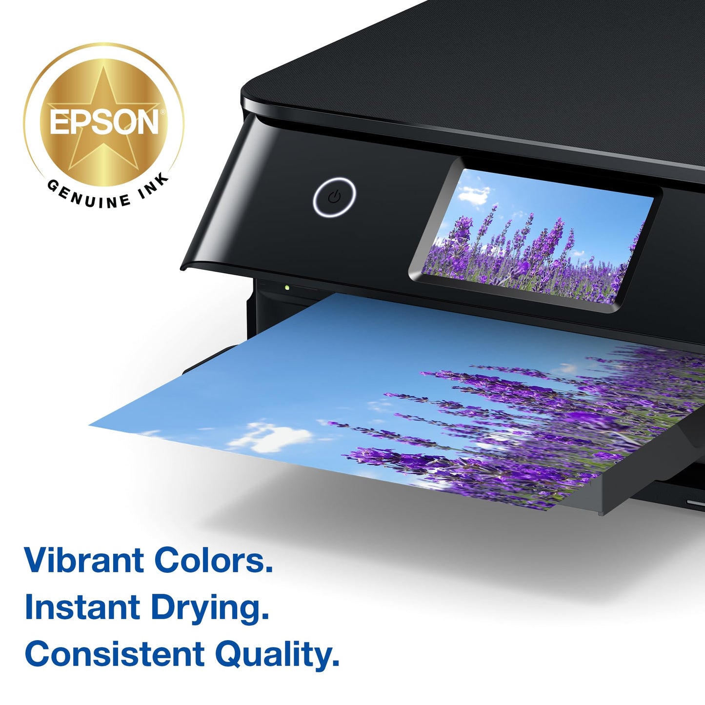 Epson 340 Claria Photo HD Ink Standard Capacity 2 Color Cartridge Combo Pack (T340922-S) Works with Expression XP-8800