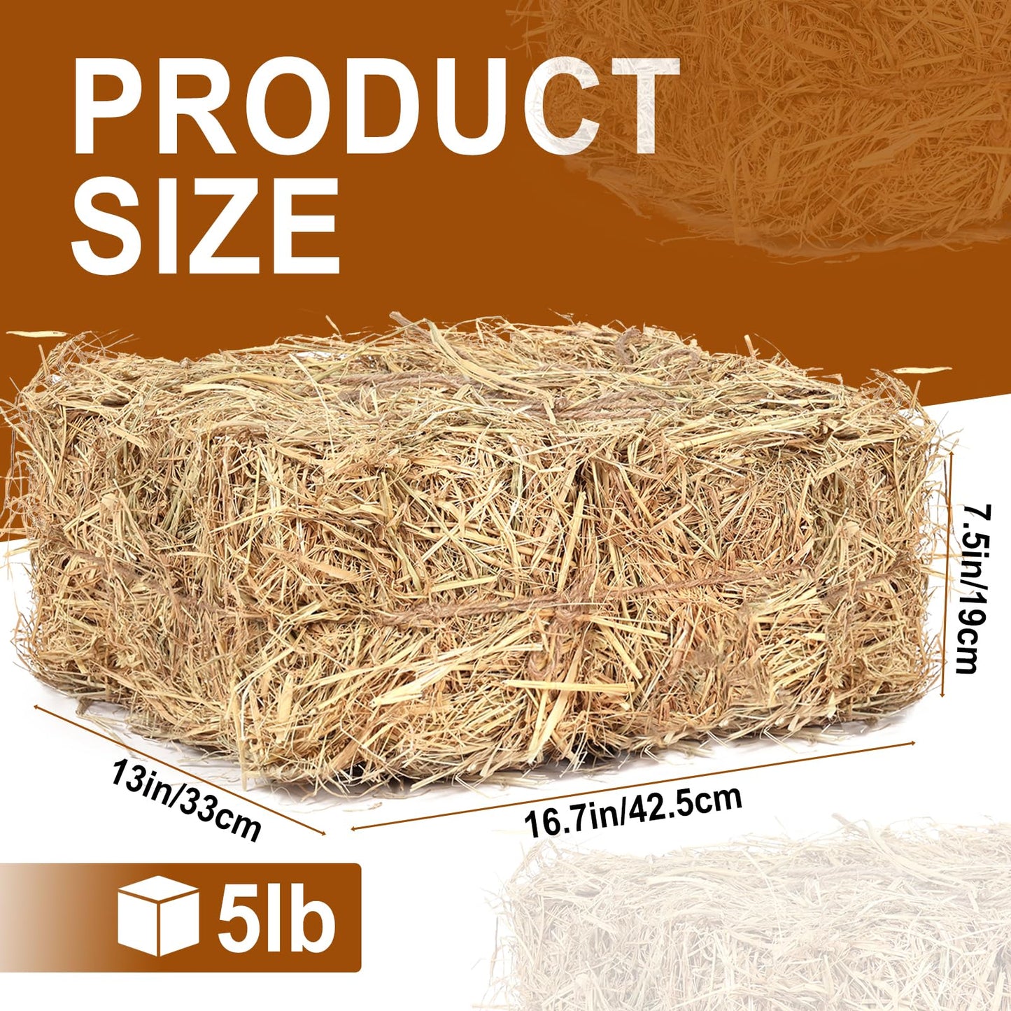 100% Natural Straw Bedding for Cats– 5 LB Dry Straw, Soft & Biodegradable Bedding for Winter Cat Shelters, Feral Cat Houses & Pet Warmth