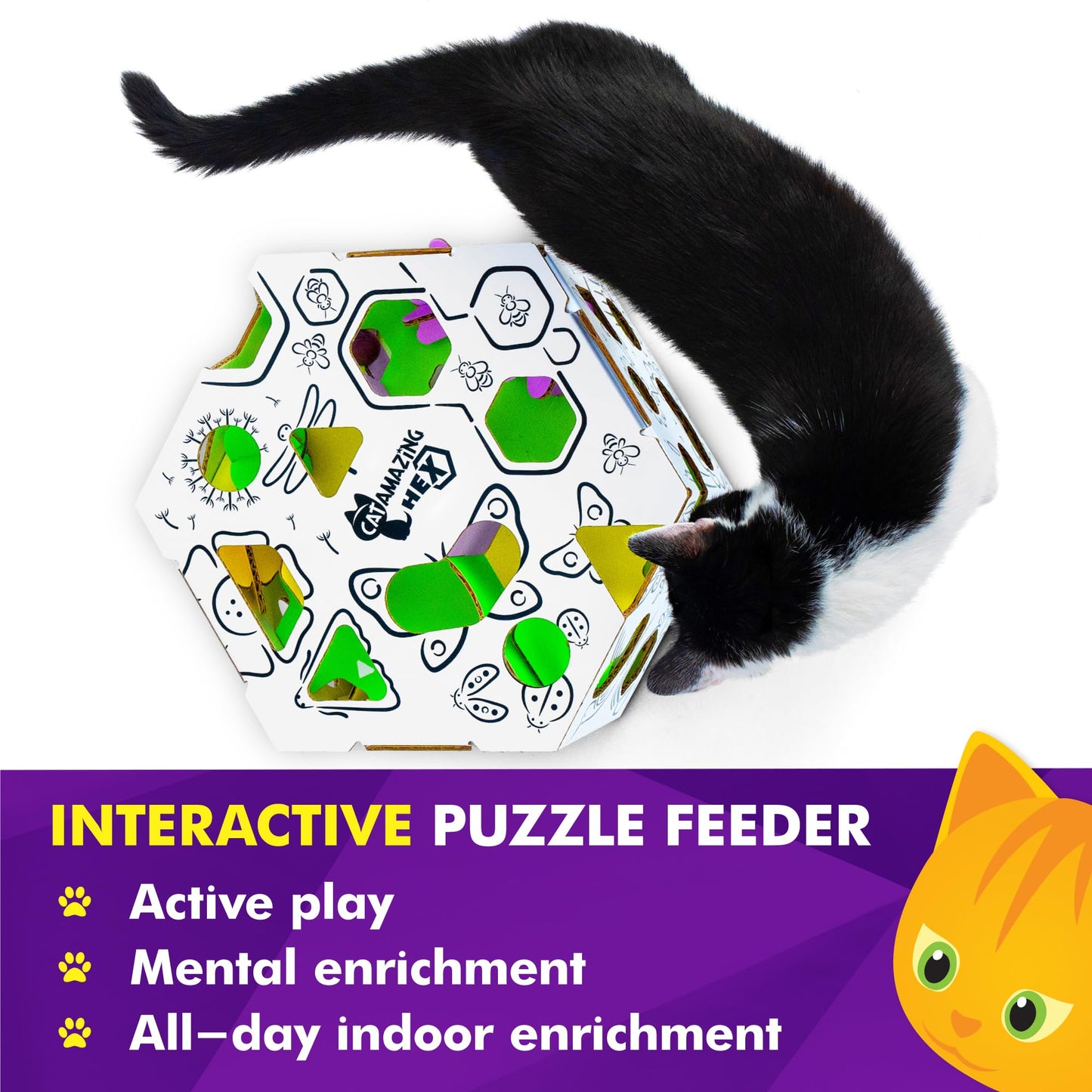 Cat Amazing HEX – Interactive Treat-Hunt Puzzle Feeder
