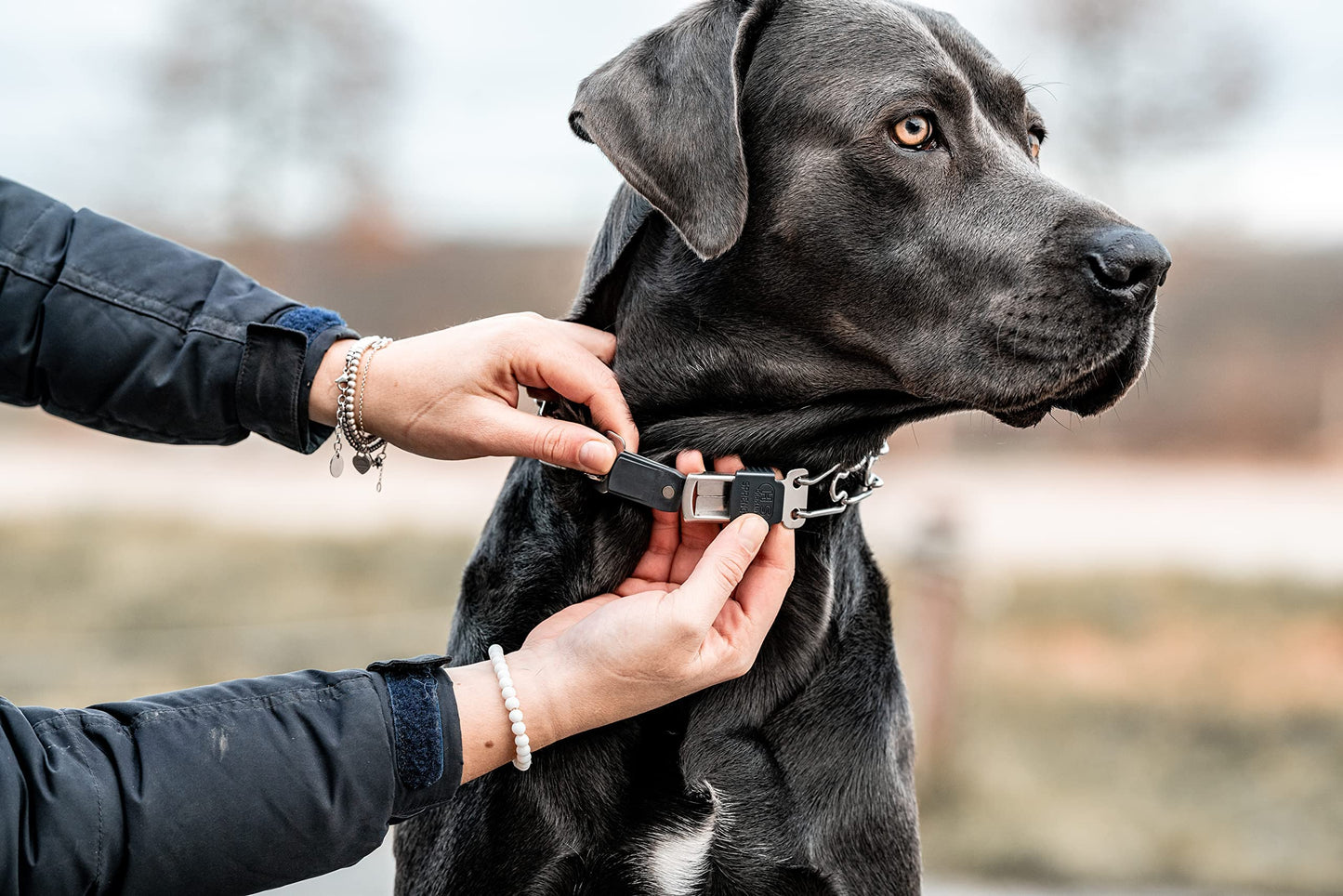 HS HERM. SPRENGER GERMANY Dog Training Prong Collar with Quick Release Cliclock Buckle and Swivel Ring | Adjustable Length Stainless Steel Made in for Large Dogs, 25in (up to 20'' neck) x 3.2mm Links