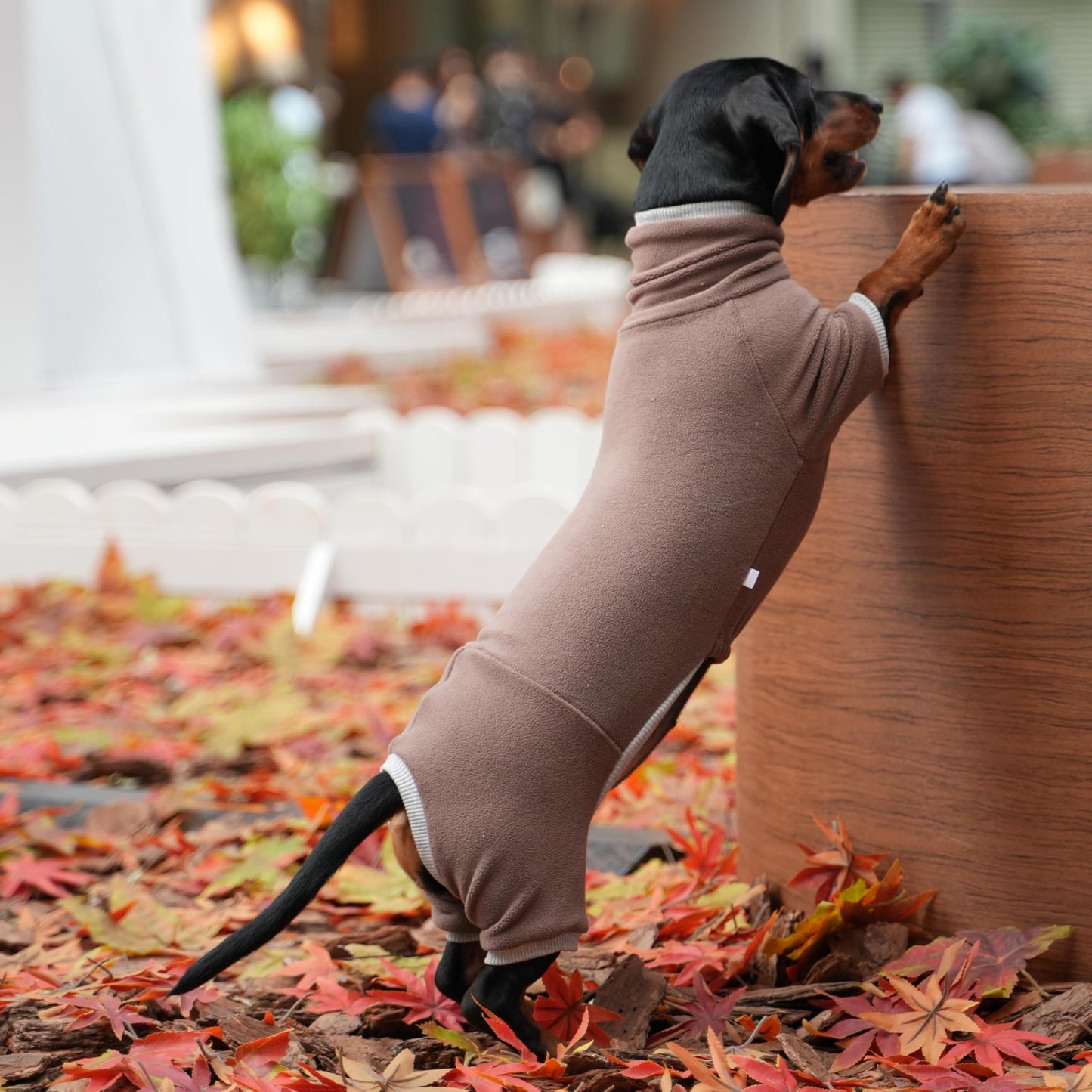 WhaleMire Dachshund Dog Turtleneck Warm Sweater, Winter Clothes, Suitable for Dachshunds (Brown, Large)