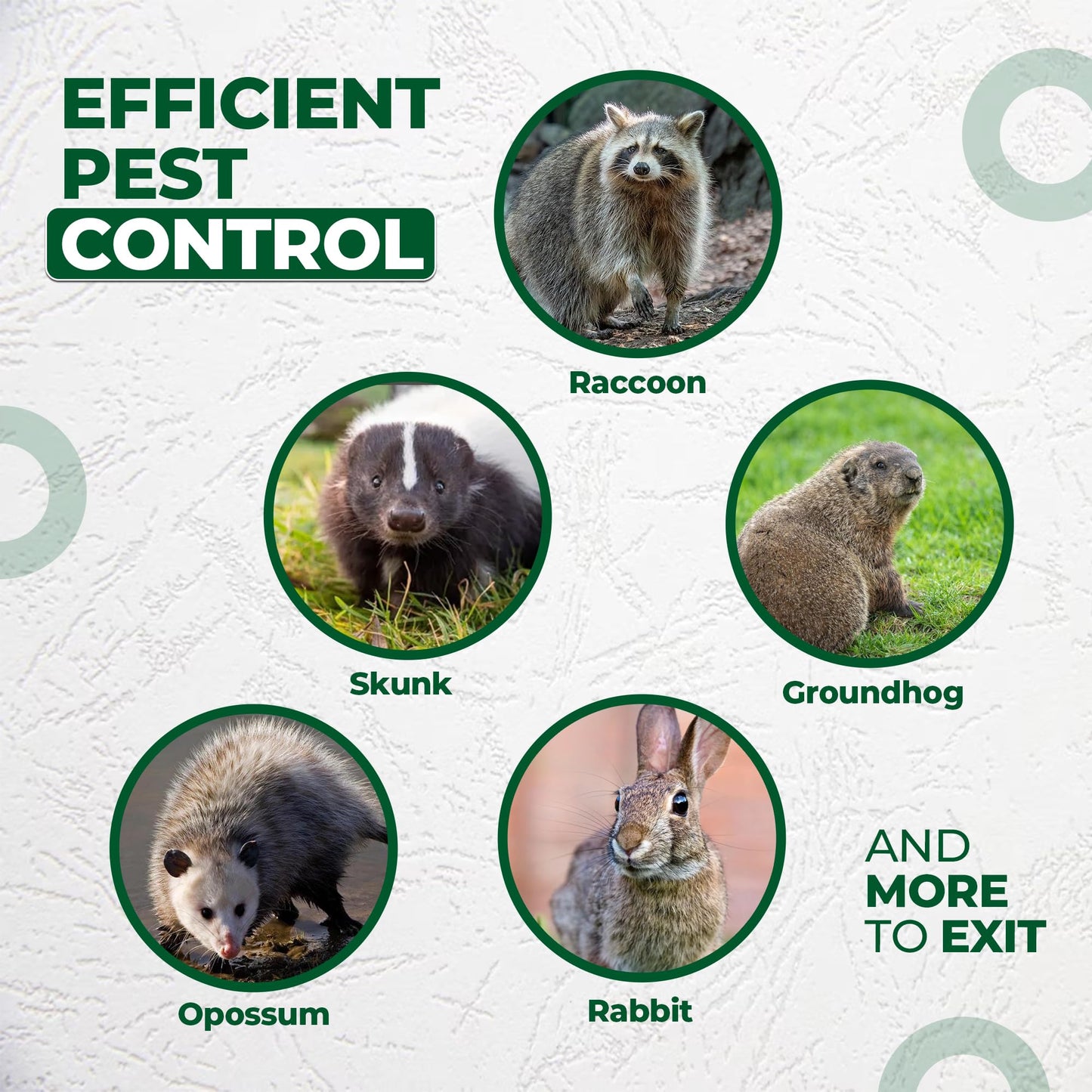 Rhino Excluders® Prochute™ One Way Door for Removal of Raccoon, Skunk, Opossum, Groundhog, Rabbit and Similar Size Animals - Live Trap Alternative, Black
