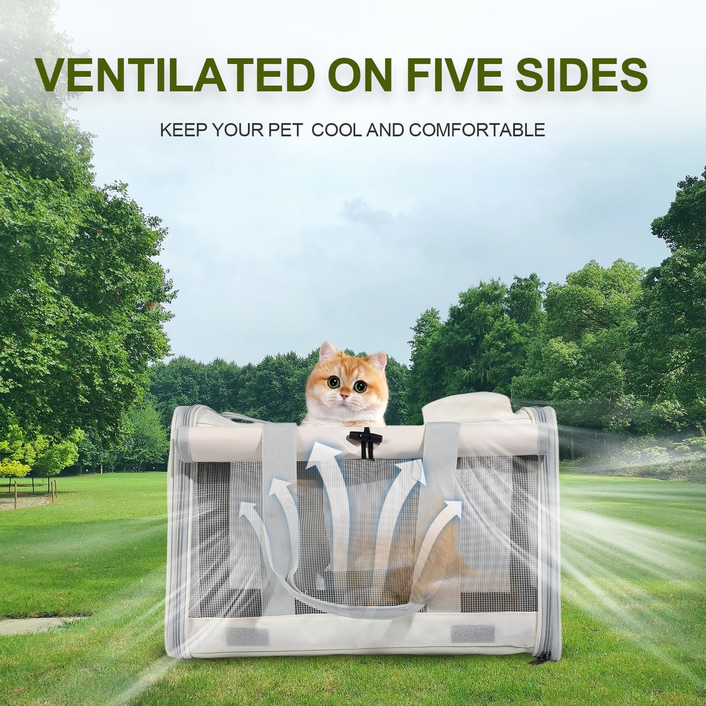 Le city Cat Carrier and Dog Carrier is Designed for Pets Weighing up to 16 lbs.Soft-Sided,Durable and Collapsible Travel Carrier,Breathable Mesh for Ventilation,Adjustable Shoulder Strap for Comfort