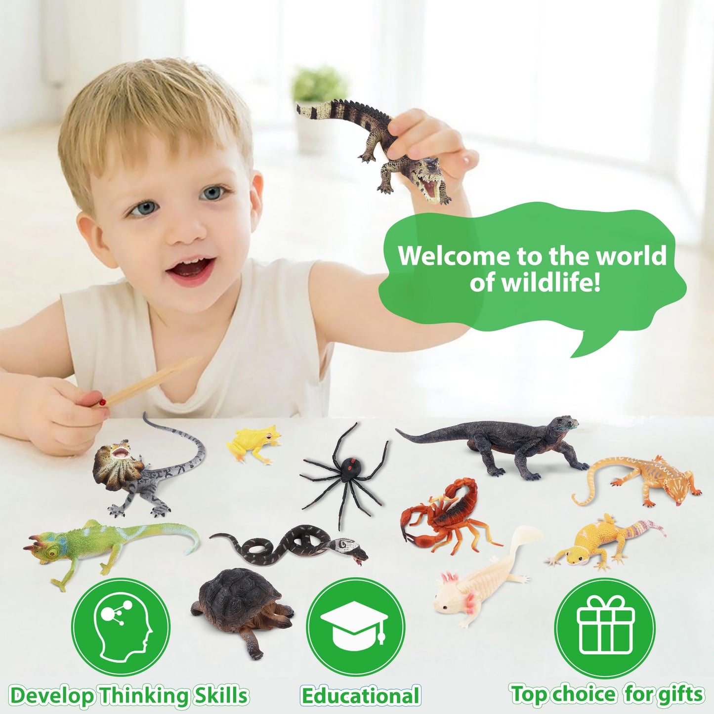 TOYMANY 12PCS Reptile Animal Figurine Toy Set，Cold Blooded Amphibians Jungle Animals Figures with Dragon Lizard Snake Chameleon Halloween Birthday Gift Party Favor School Project for Kids Toddlers