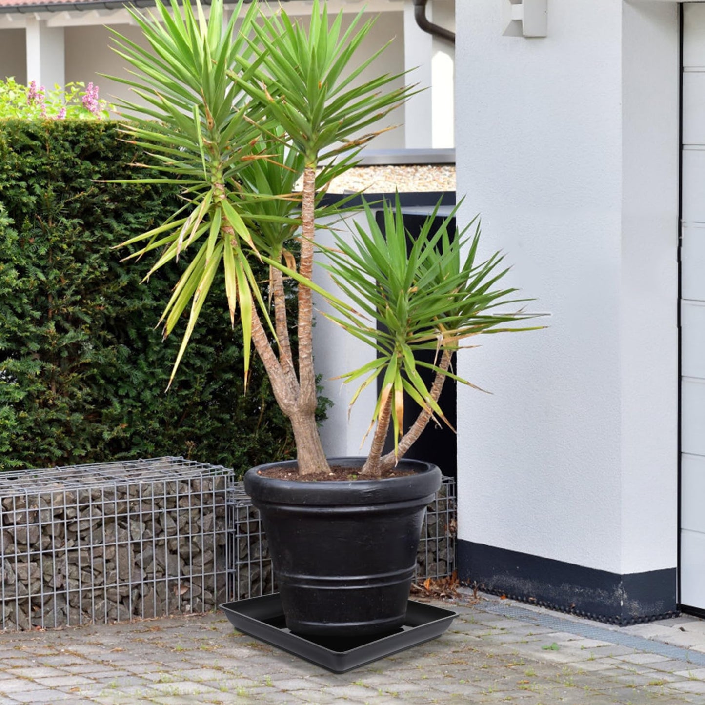 BESTonZON 2Pcs 16 Inch Square Plant Saucer Trays Heavy Duty Plastic Drip Trays for Indoor and Outdoor Pots