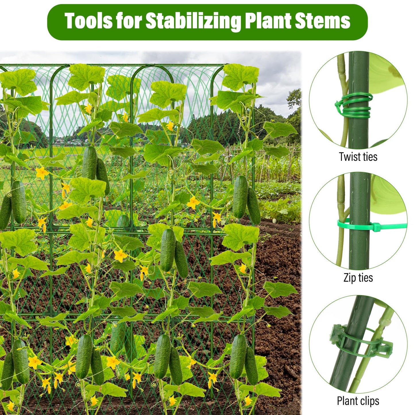 Cucumber Trellis for Raised Bed, Tall Metal Garden Trellis for Climbing Plants Outdoor with Netting, Gloves, Garden Tools, Trellis for Vegetables Plant Support Peas Fruit Flower Grape