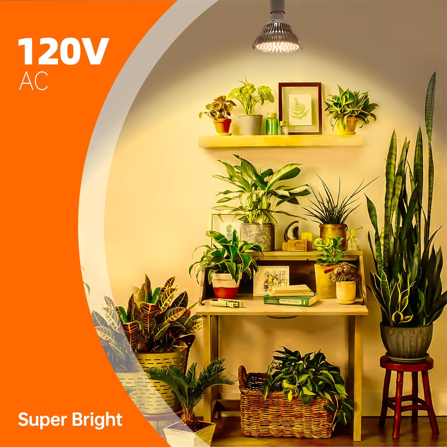 Bstrip LED Hanging Grow Light, Grow Light Bulb for Indoor Plants, 25W Full Spectrum Hanging Grow Light,3000K Plant Light Bulbs with 16.4FT Power Cord, Pendant Grow Lights for Indoor Plants, 1 Pack