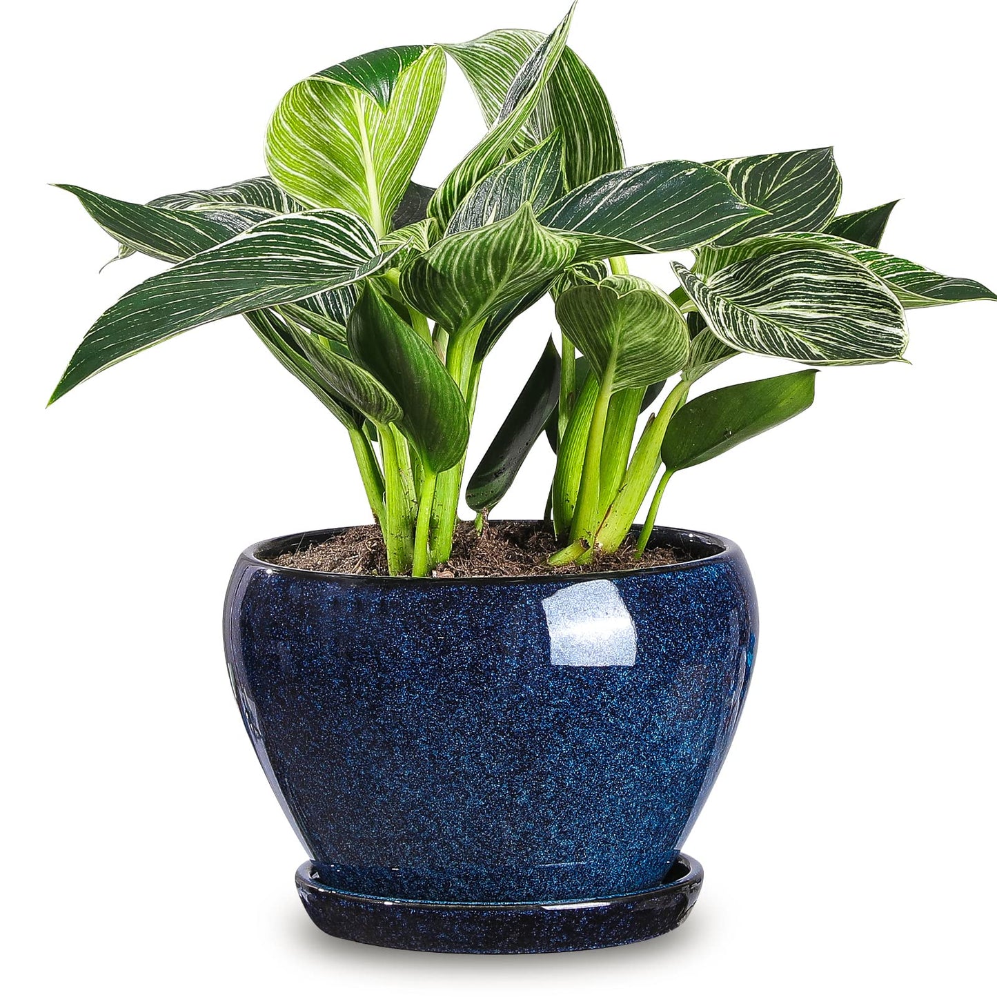 vicrays Ceramic Plant Pots Indoor - 6.5 Inch Planter Pot with Drainage Hole and Saucer for Succulent Orchid Flower Herbs Cactus - Ideal for Gardening Home Desktop Office Decor - Reactive Glaze Blue