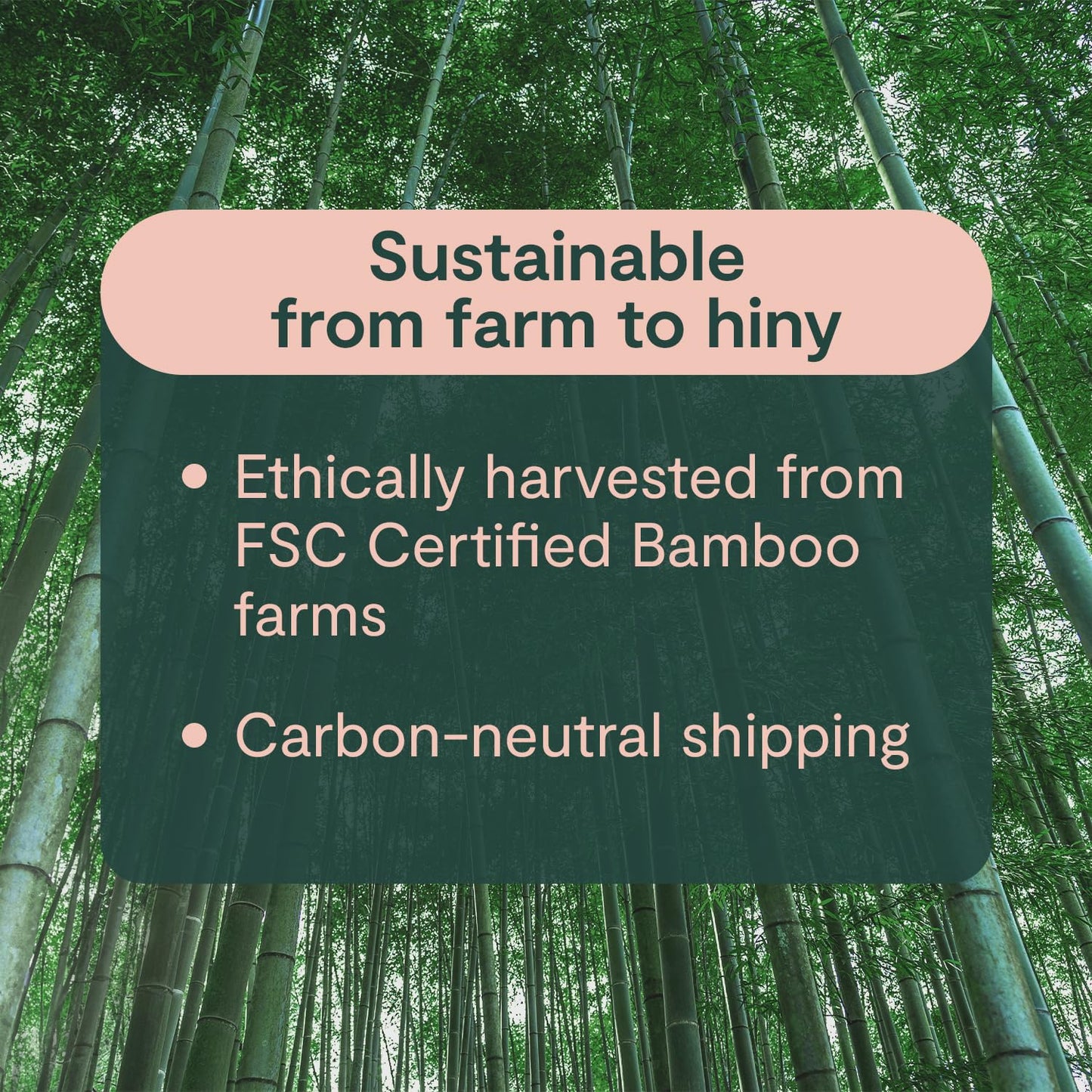 ECOHINY Premium & Soft Bamboo Toilet Paper | 12 Mega Rolls, 350 Sheets Each, 3-Ply | FSC Certified, PFAS & BPA Free, Septic Safe | Tree & Plastic Free Packaging