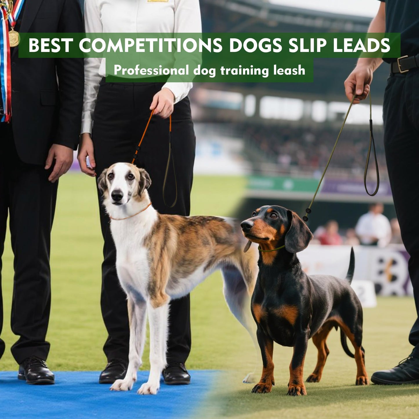 BeauGo Slip Leads for Dogs,Top Speed Training Dog Leash,2-in-1 Slip Collar Dog Training Lead & Collar,6ft Thin Slip Lead,sturdyand Durable, Leash Suitable for Small, Medium, and Large Dogs((Blue)