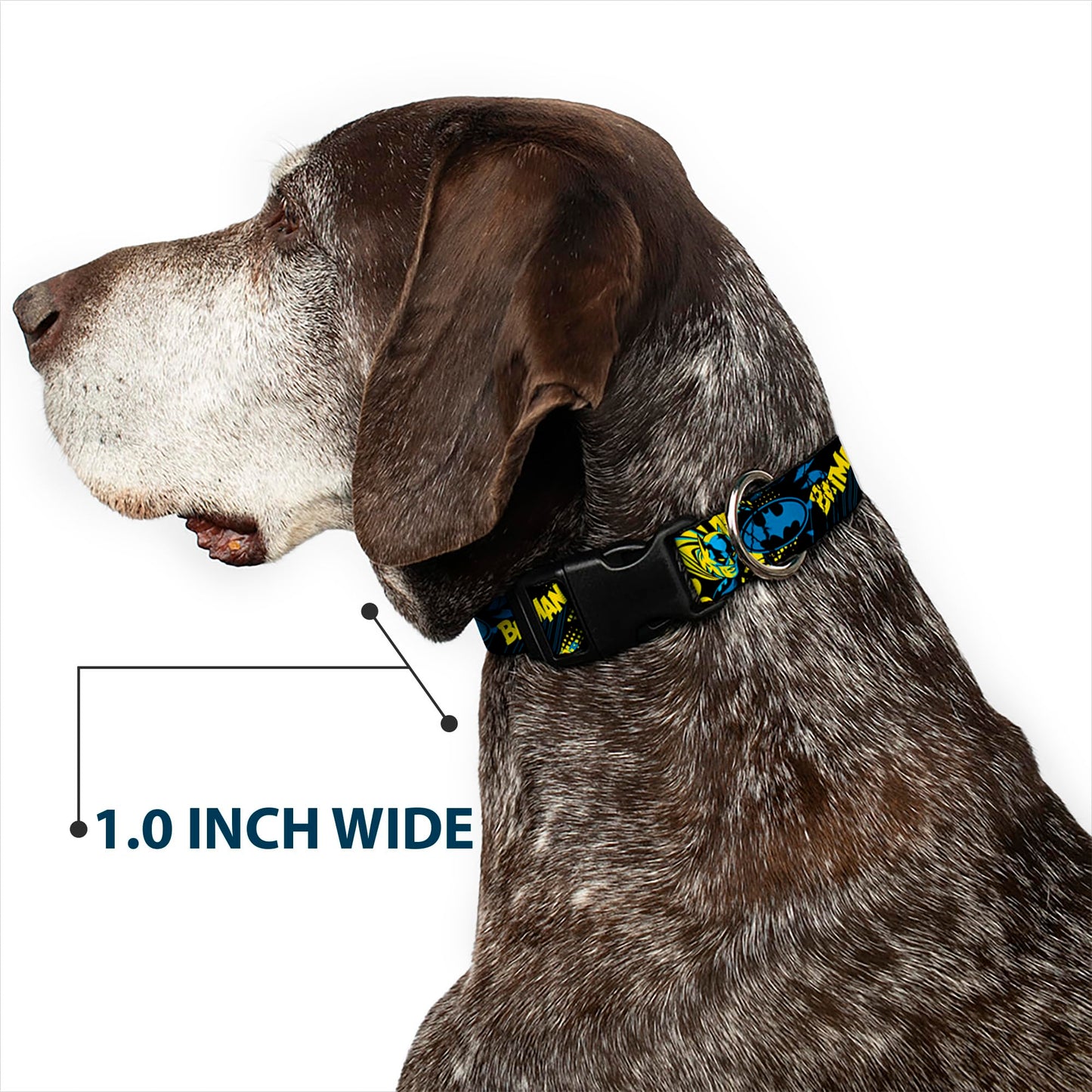 DC Comics Pet Collar, Dog Collar Plastic Buckle, Batman Poses and Logo Collage Black Blue Yellow, 15 to 24 Inches 1.0 Inch Wide