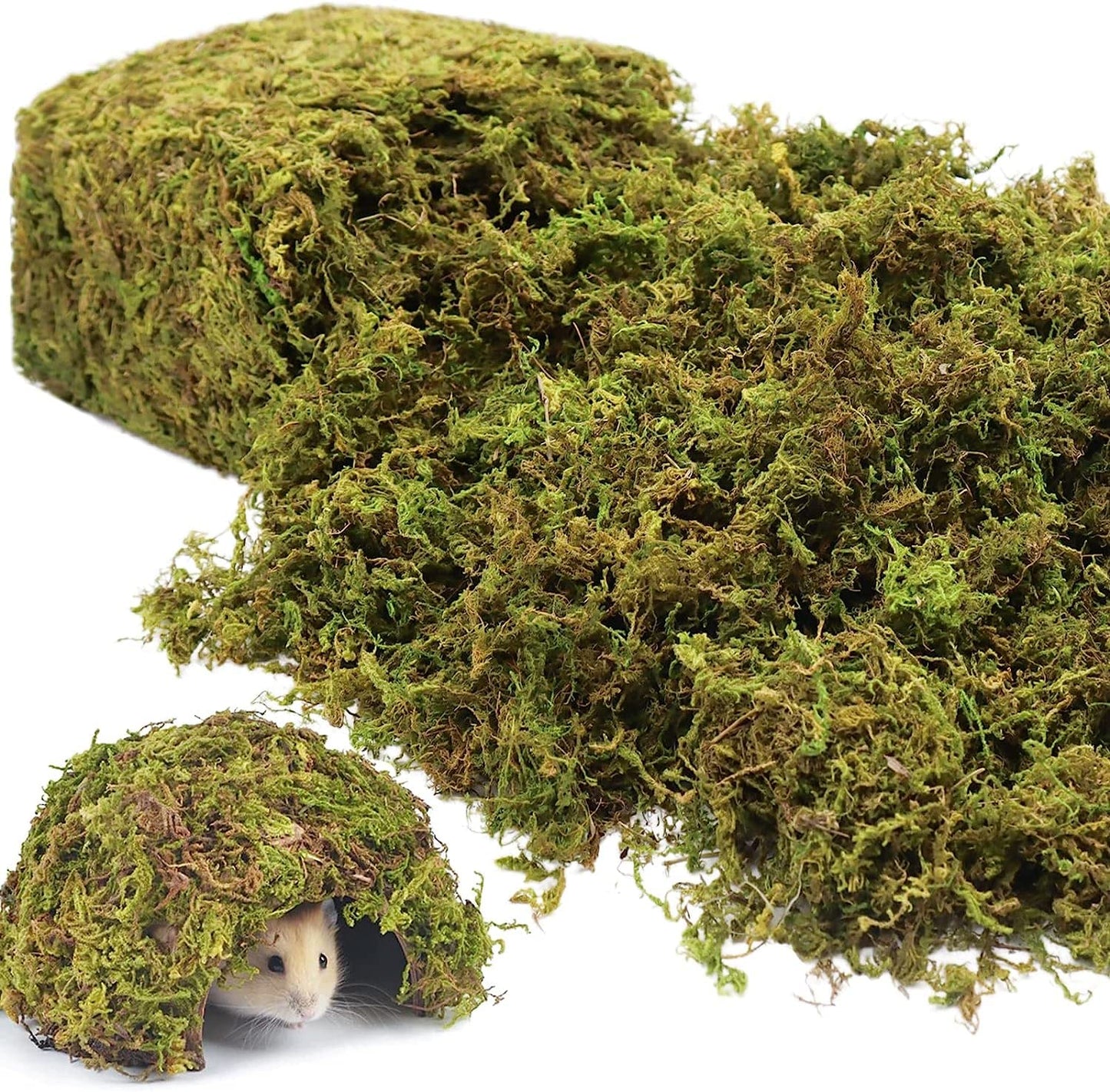 Riare 1.3LBS Artificial Fake Moss for Fake Plants Indoor- Premium Faux Craft Moss for Potted Plant, Fresh Forest Green for Hamsters Micro-Landscape Terrariums Centerpieces Decor