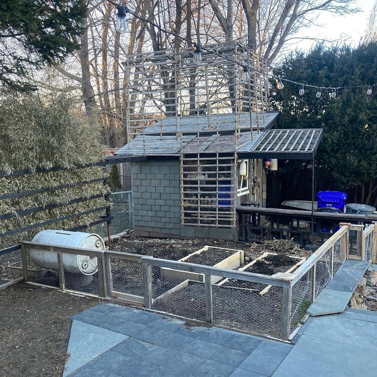 PVC Coated Welded Wire Fence 36 Inch x 50 Ft Black, 2" X 3" 16GA Coated Hardware Cloth, Chicken Fencing, Metal Garden Plant Fencing, Welded Mesh Roll for Yard Vegetable Plant Protection Poul