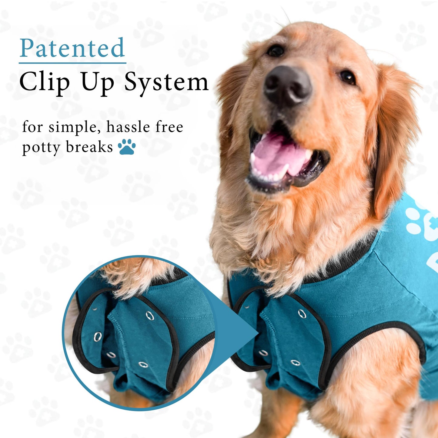 BellyGuard Dog Surgery Suit for Male and Female, Onesie for Dogs After Surgery, Spay or Neuter Recovery Suit for Post-Op Care