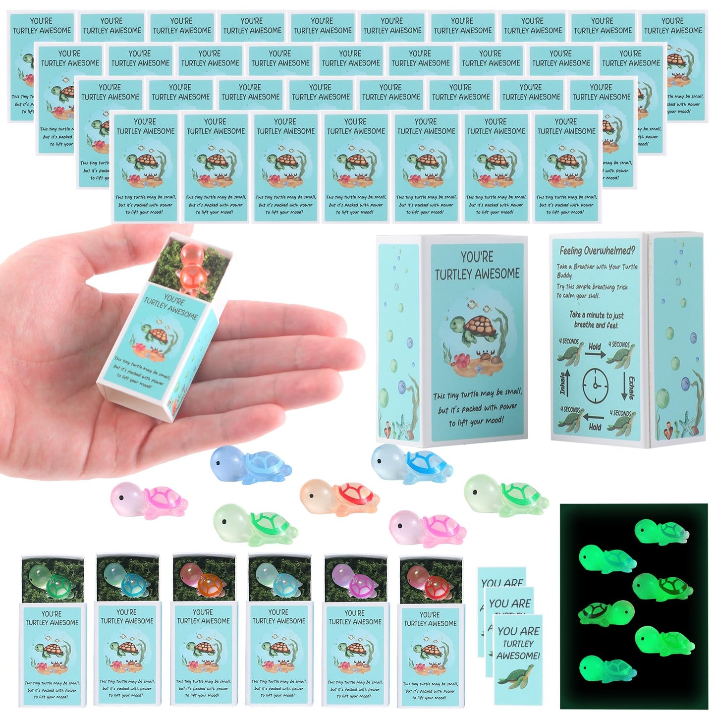 72 Pack Glow in the Dark Mini Turtle Thank You Gifts Bulk – Inspirational Appreciation Gifts for CNA Week 2025, Teachers, Coworkers, Students, Employee Graduation Favors