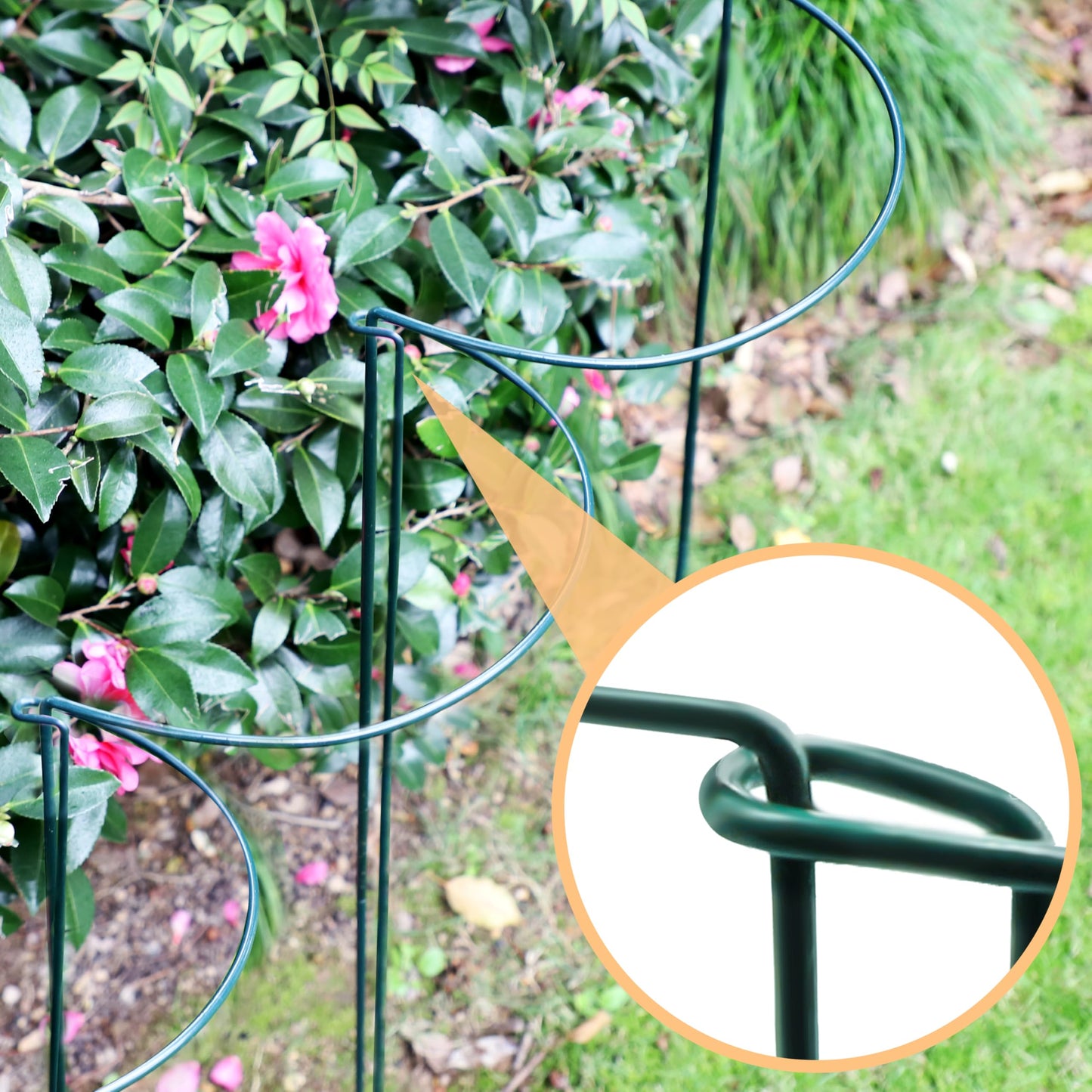 TORFICAN Peony Support Cage 24 Inch Tall, 10 Pack Heavy Duty Metal Plant Support Stakes, Rustproof Half Round Rings for Peonies, Tomatoes, Hydrangeas, Outdoor Plants,Green