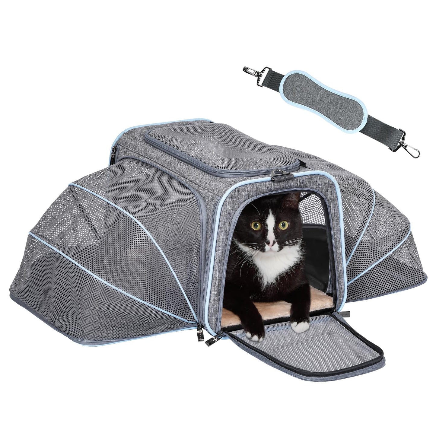 Petsfit Expandable Cat Carrier Dog Carrier,Airline Approved Soft-Sided Portable Pet Travel Washable Carrier for Kittens,Puppies,Removable Soft Plush mat and Pockets,Locking Safety Zippers