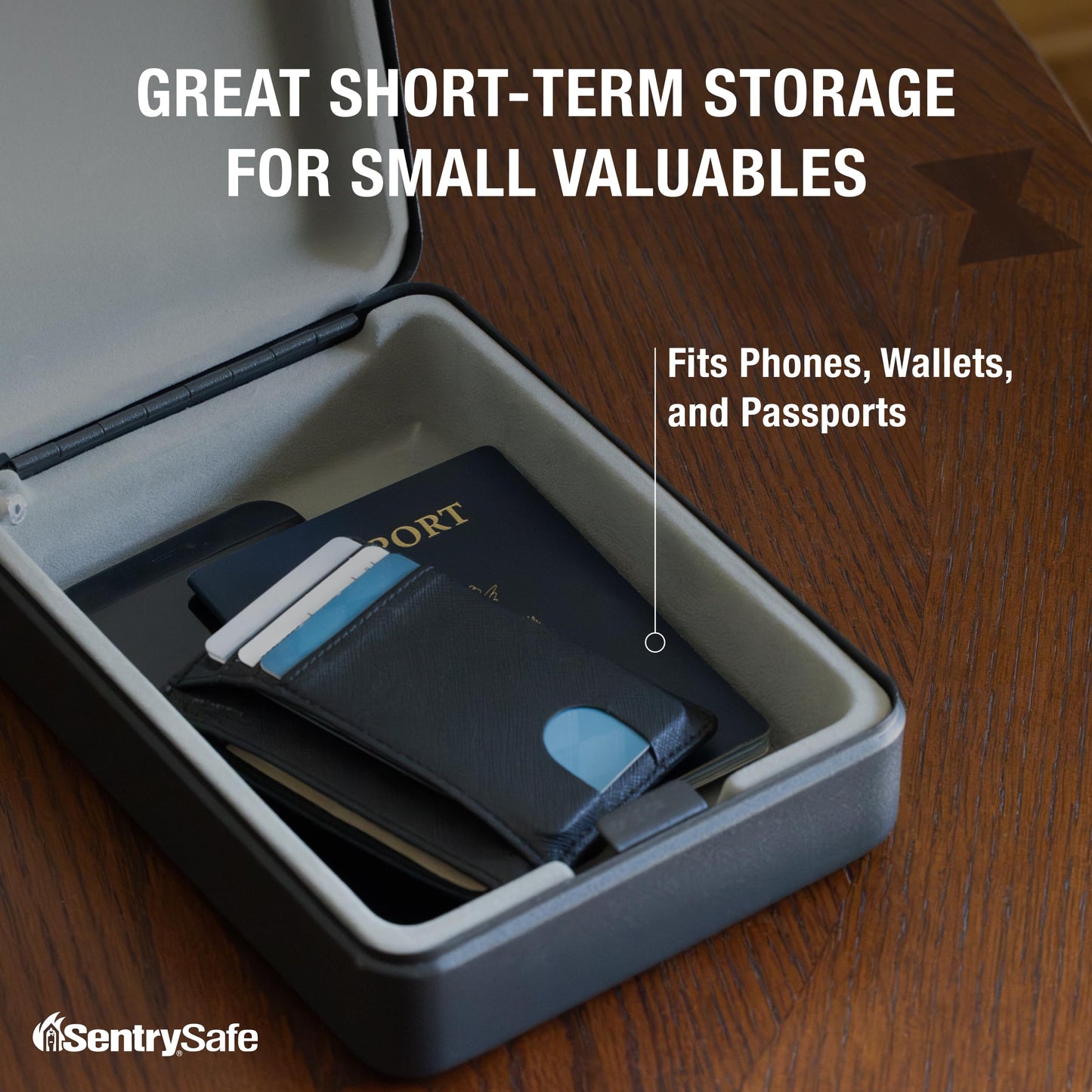 SentrySafe P005K Compact Safe, 0.05 Cubic Foot (Black)