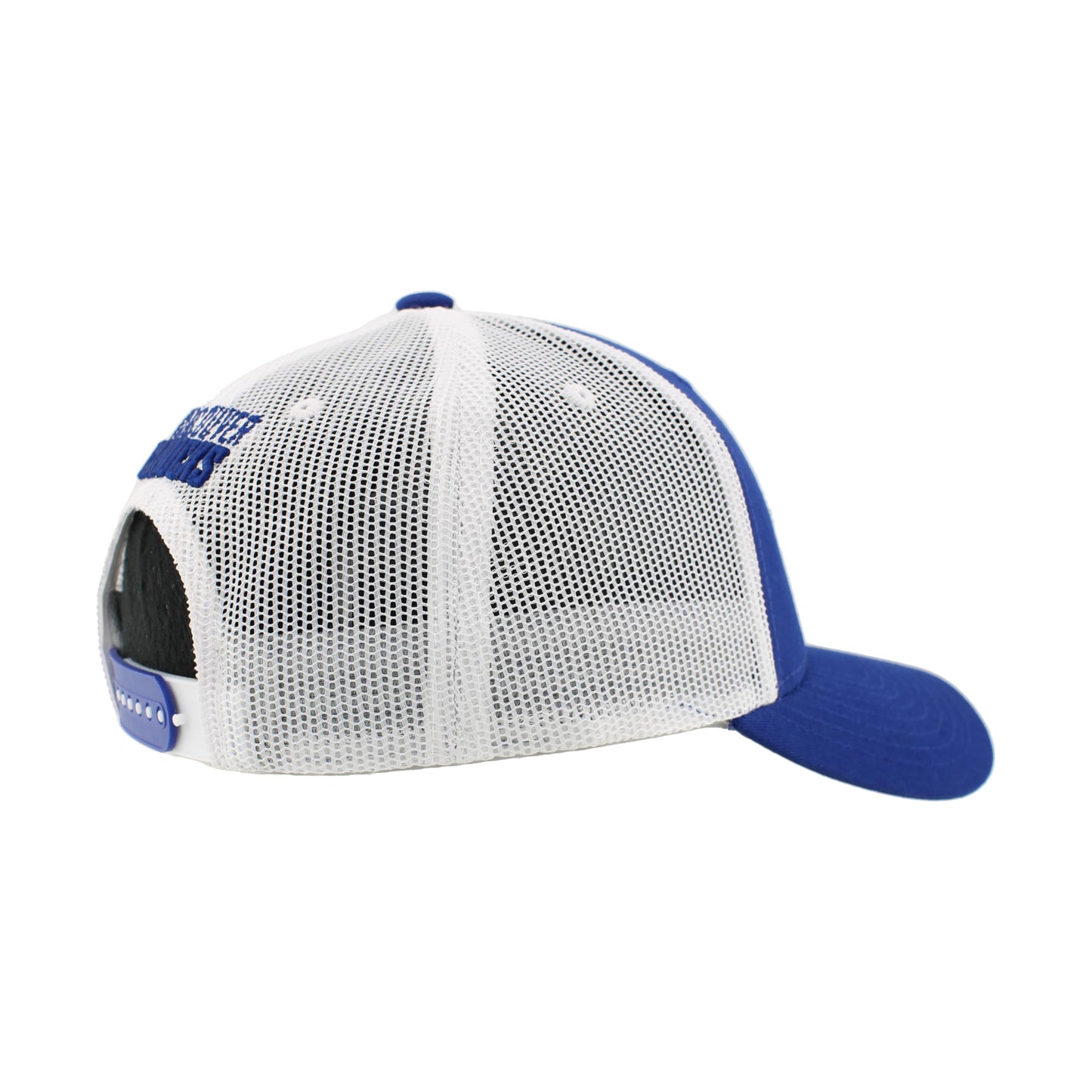 ZHATS Standard NHL Officially Licensed Adjustable Snapback Hat Big Rig Icon Team Color