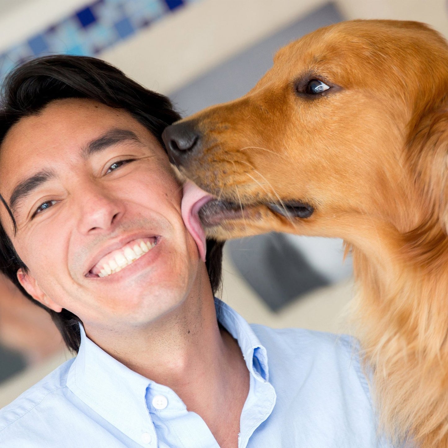 Teamoy 4pcs Reusable Wrap Diapers for Male Dogs, Washable Puppy Belly Band (XL, Black+ Gray+ Green+ Purple)