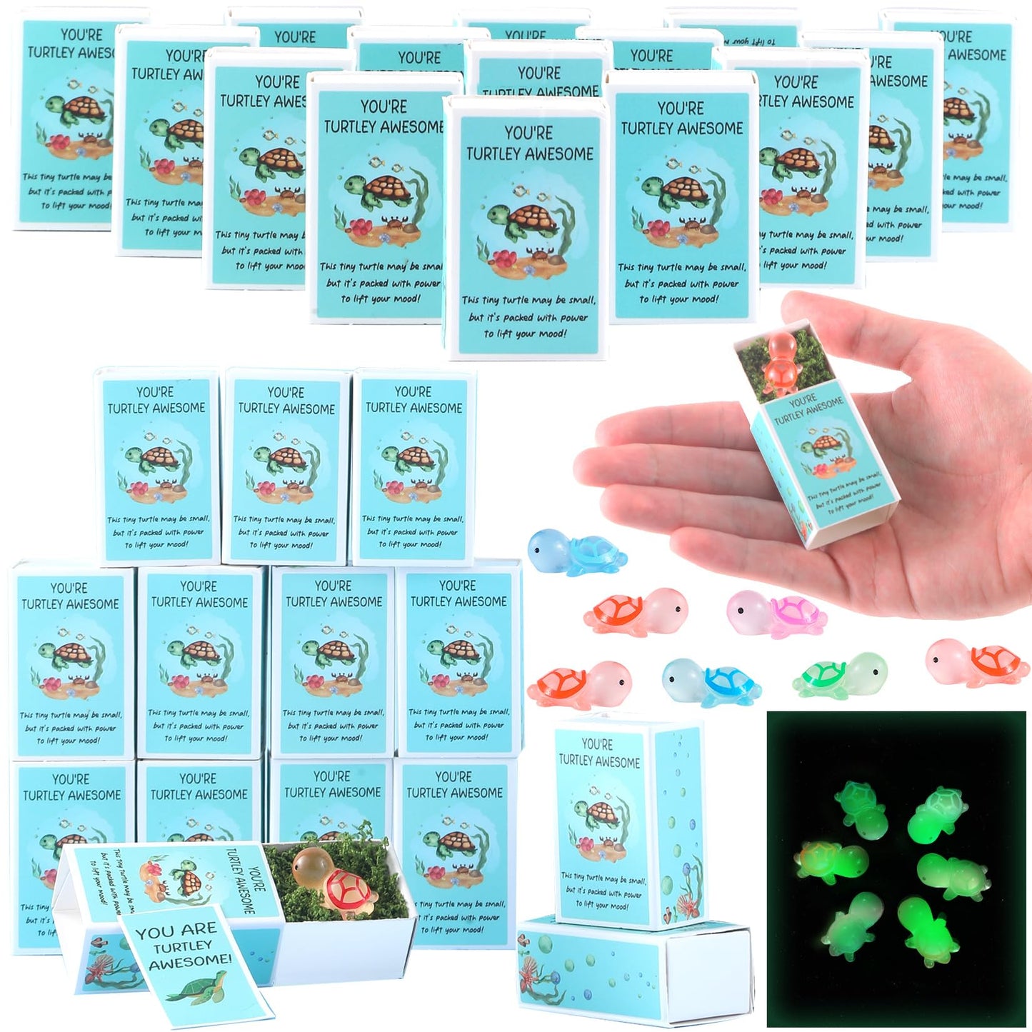 72 Pack Glow in the Dark Mini Turtle Thank You Gifts Bulk – Inspirational Appreciation Gifts for CNA Week 2025, Teachers, Coworkers, Students, Employee Graduation Favors