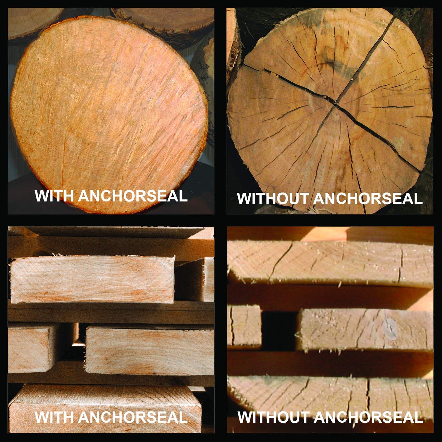 ANCHORSEAL 2 Hybrid Log & Lumber end grain sealer (1 Gallon) - Water-based wax & polymer prevents up to 90% of end checking (drying splits) on cut ends. Green wood sealer for turning blanks & bowls. … (1 Gallon)