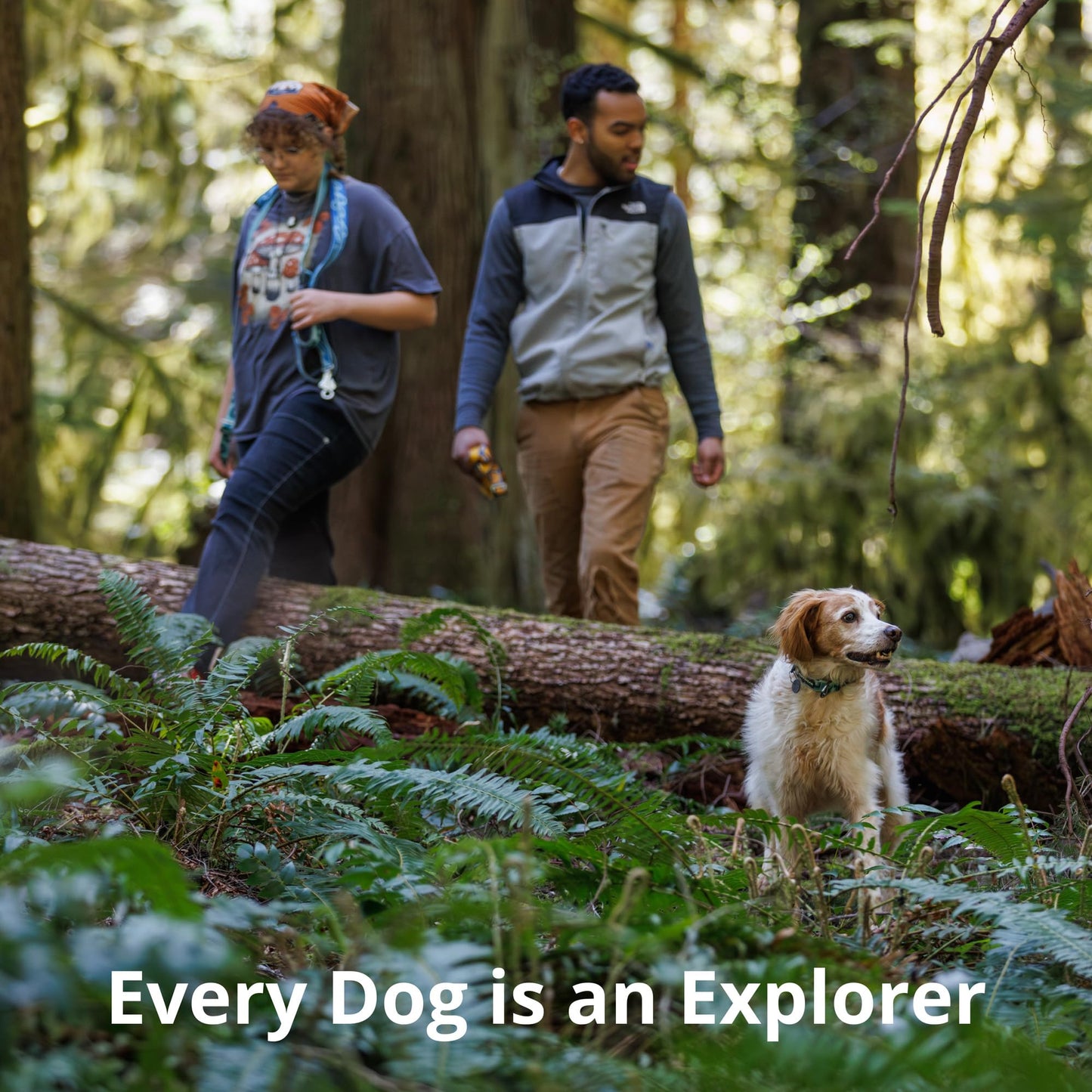 Ruffwear, Crag Ex Leash, Extendable Dog Leash, Hand-Held or Waist-Worn Reflective Lead, Rising Wave