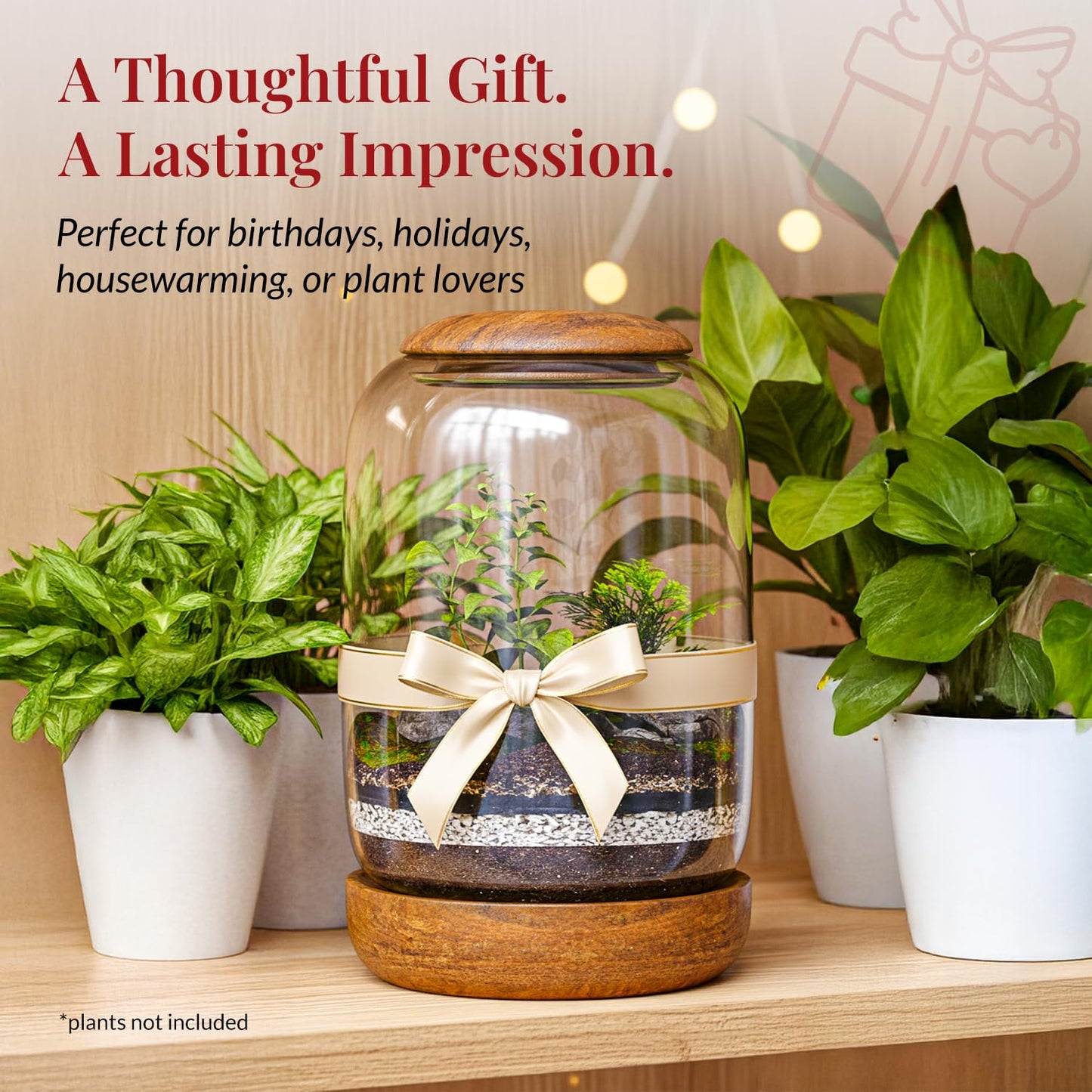 NoctisCorvus: Exclusive Glass Terrarium, Beautifully Enhanced by a Natural Wood lid and Base. Excellent for Plants and Betta Fish Tank. for Home and Office. Size: 6.3 Diameter by 8.7 Tall (Inches)